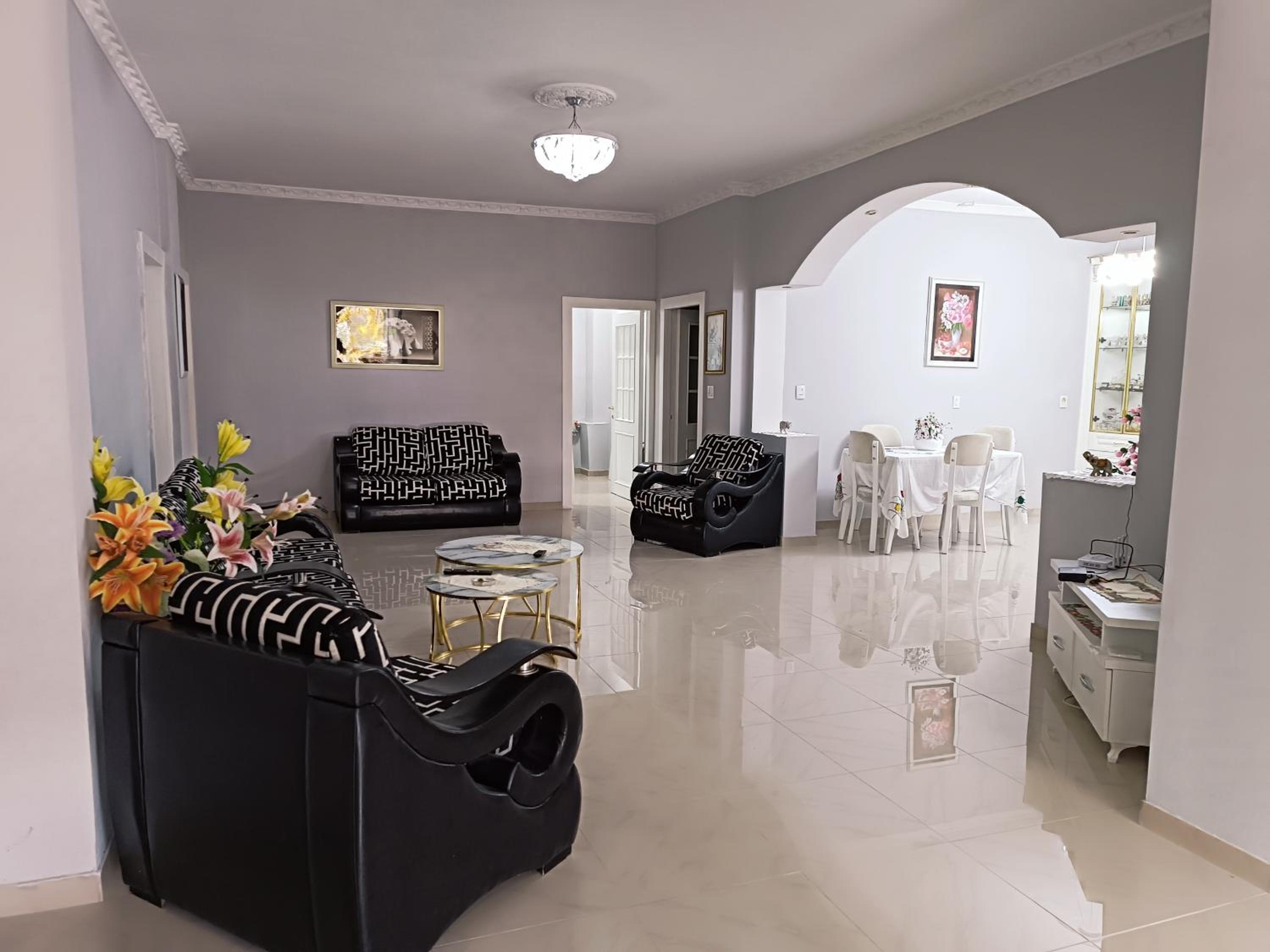 Tirana Altin's House
