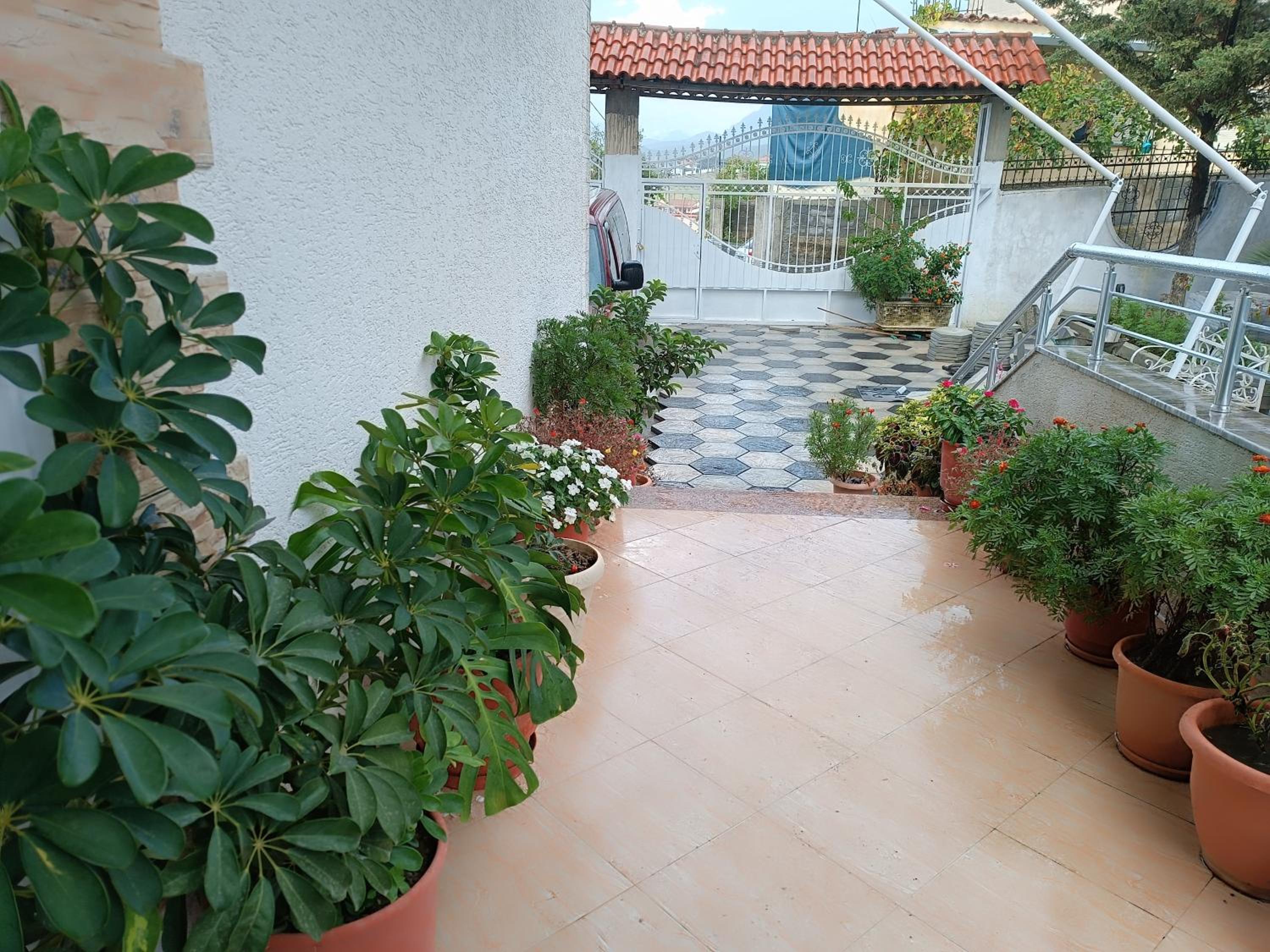 Tirana Altin's House