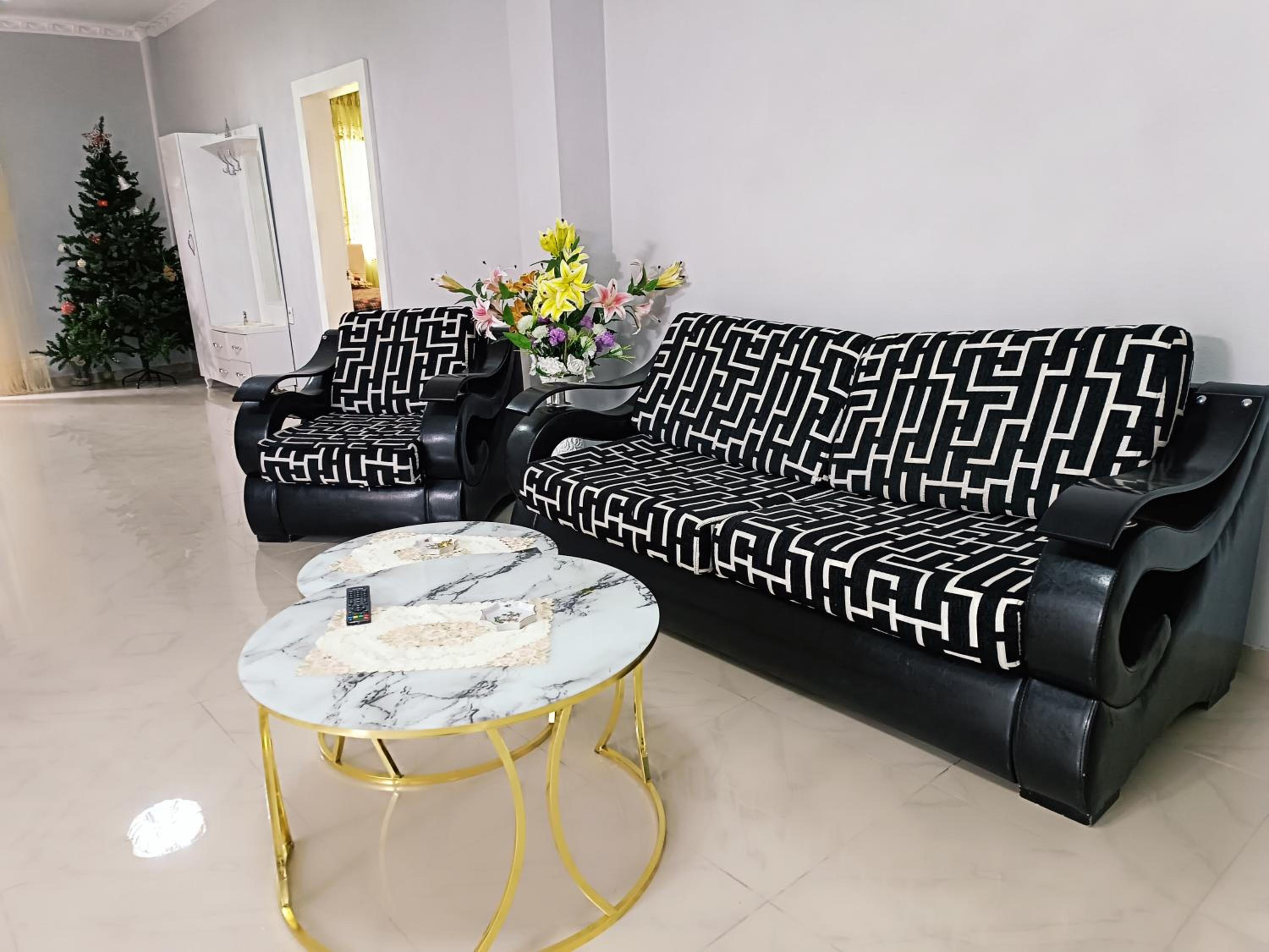 Tirana Altin's House