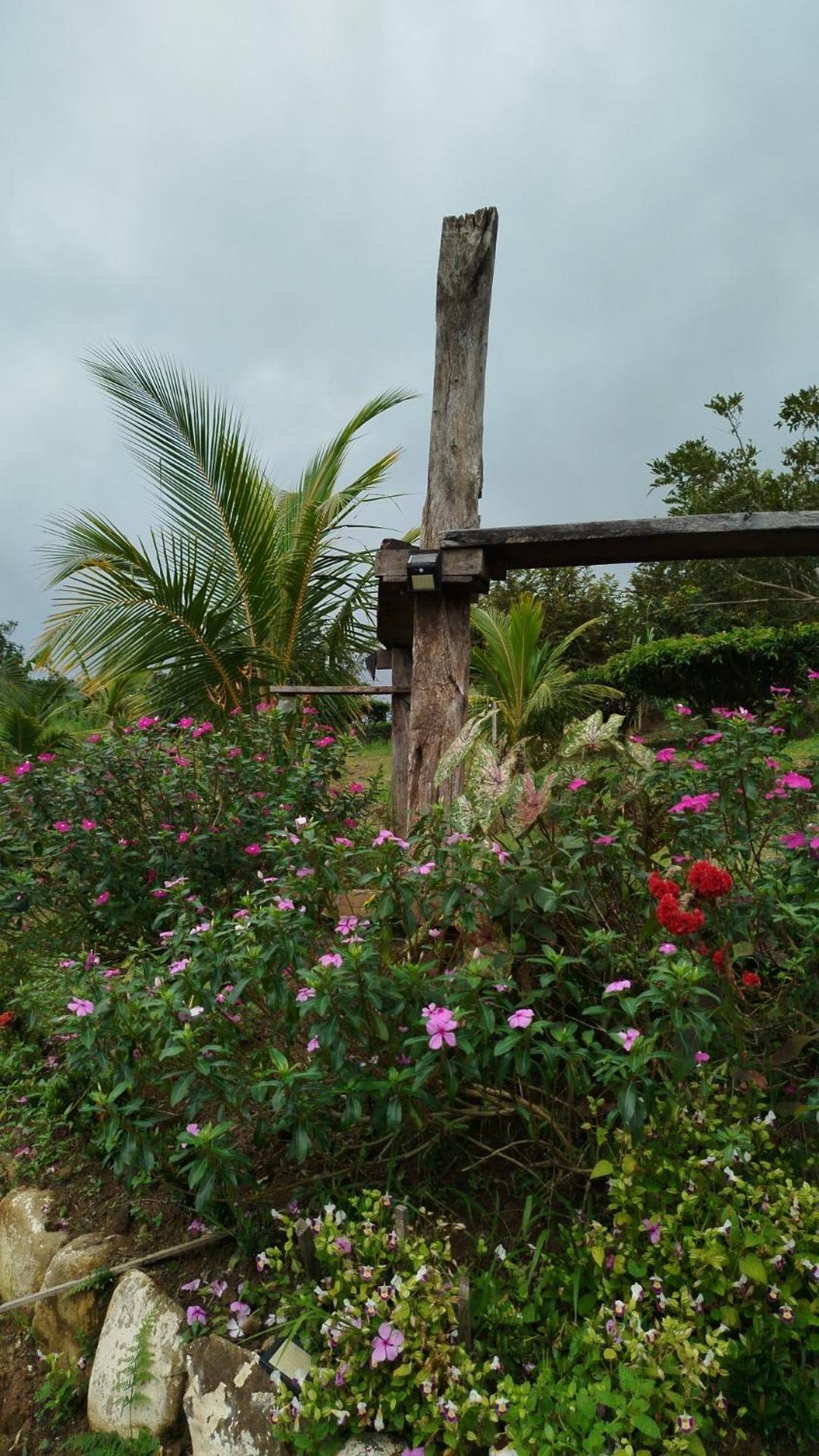 Sustainable, Off-Grid and Organic Cabins on a Farm in a Secluded Cloud Forest, Ultra Low Carbon Footprint, 4x4
