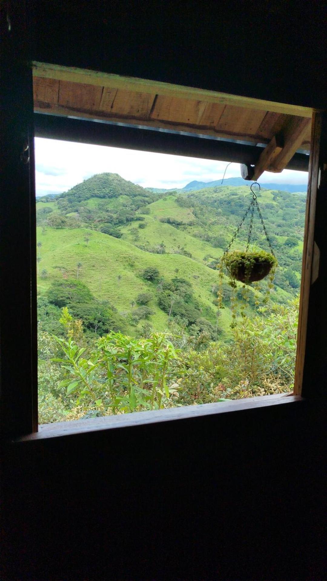 Sustainable, Off-Grid and Organic Cabins on a Farm in a Secluded Cloud Forest, Ultra Low Carbon Footprint, 4x4
