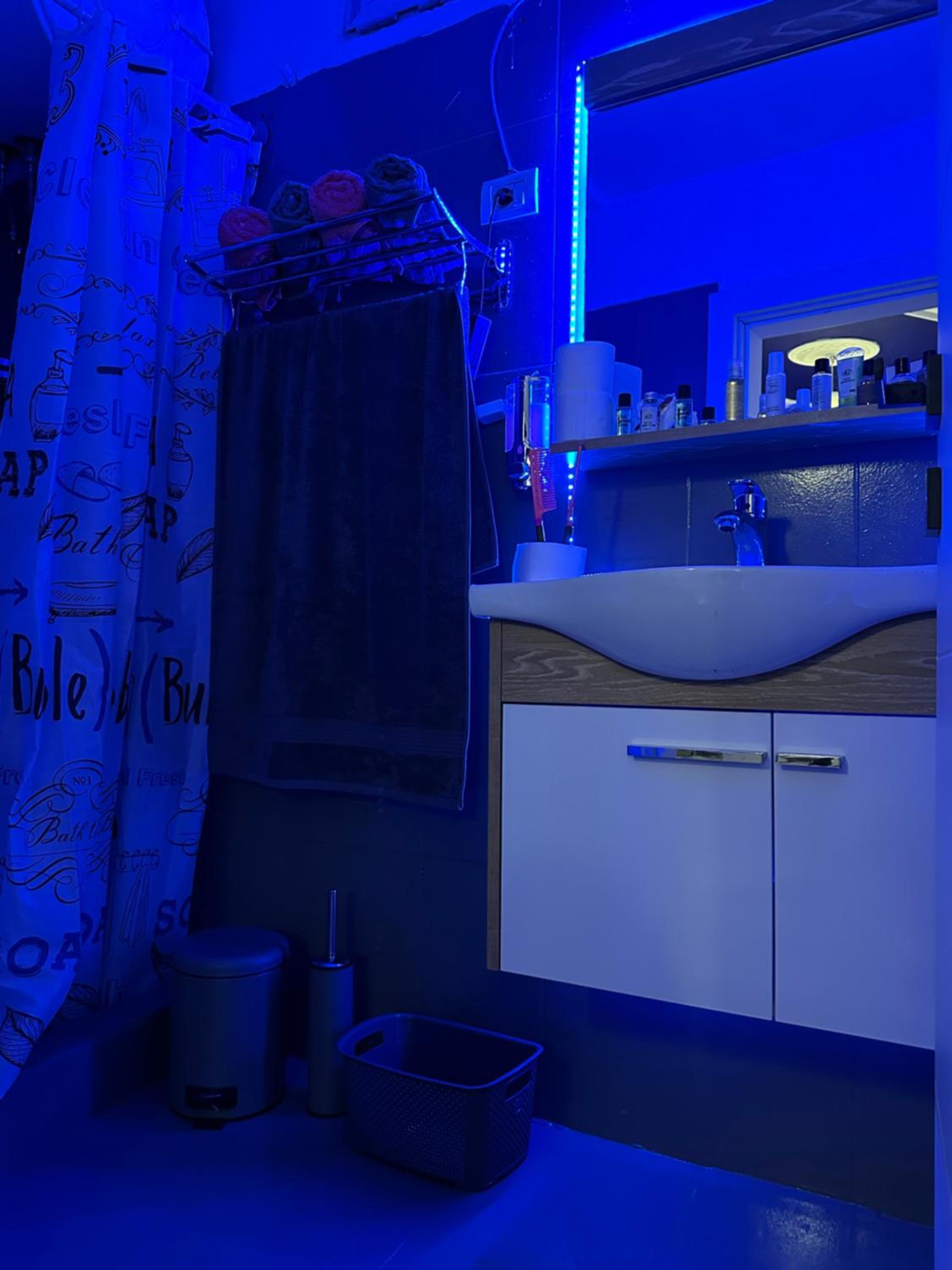 Ava's House