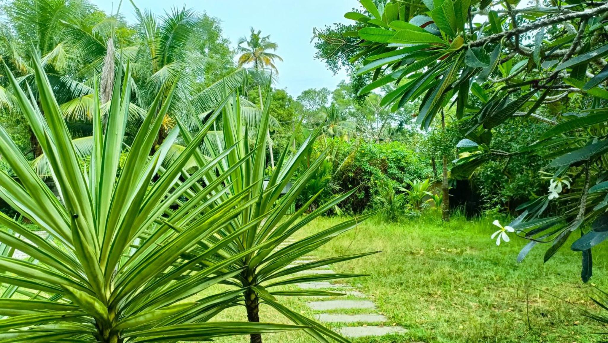 Angels' homestay Marari view 4