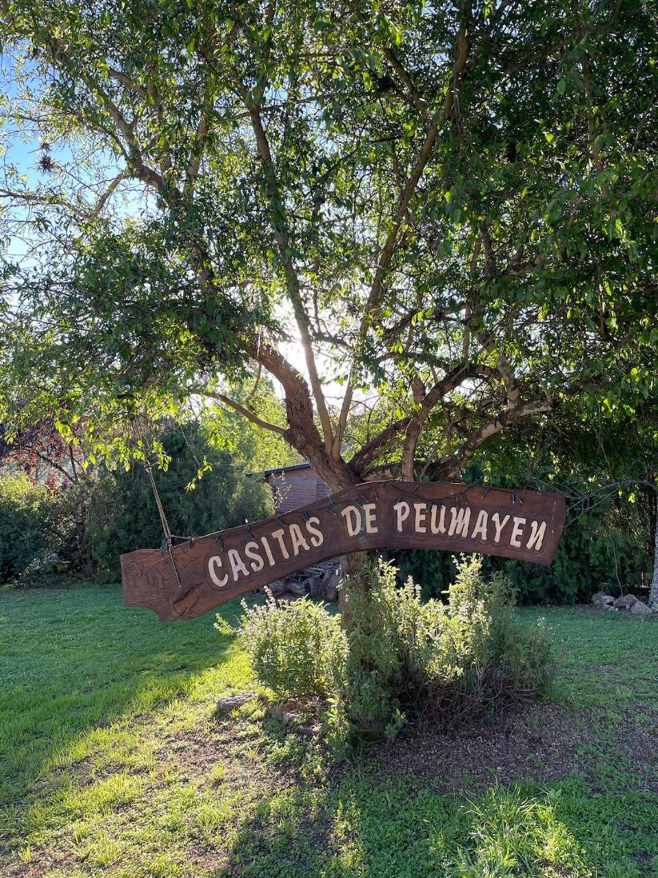 Casa Caviahue