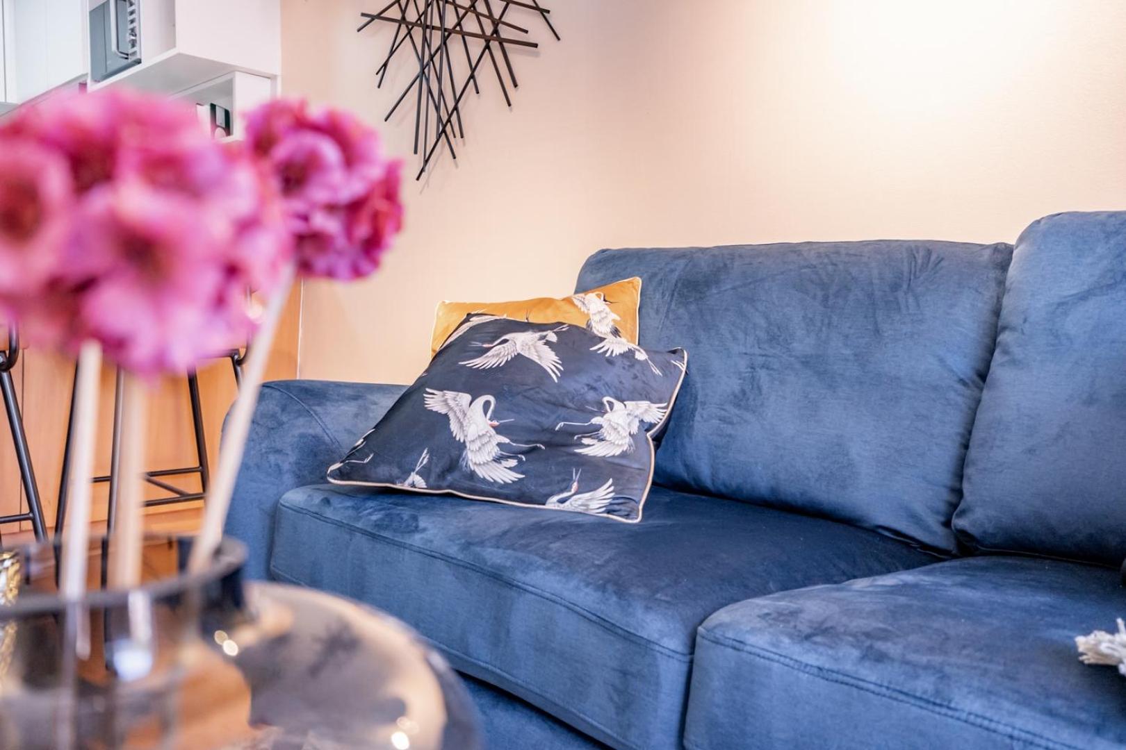 San Carlos rentals - Lastarria
