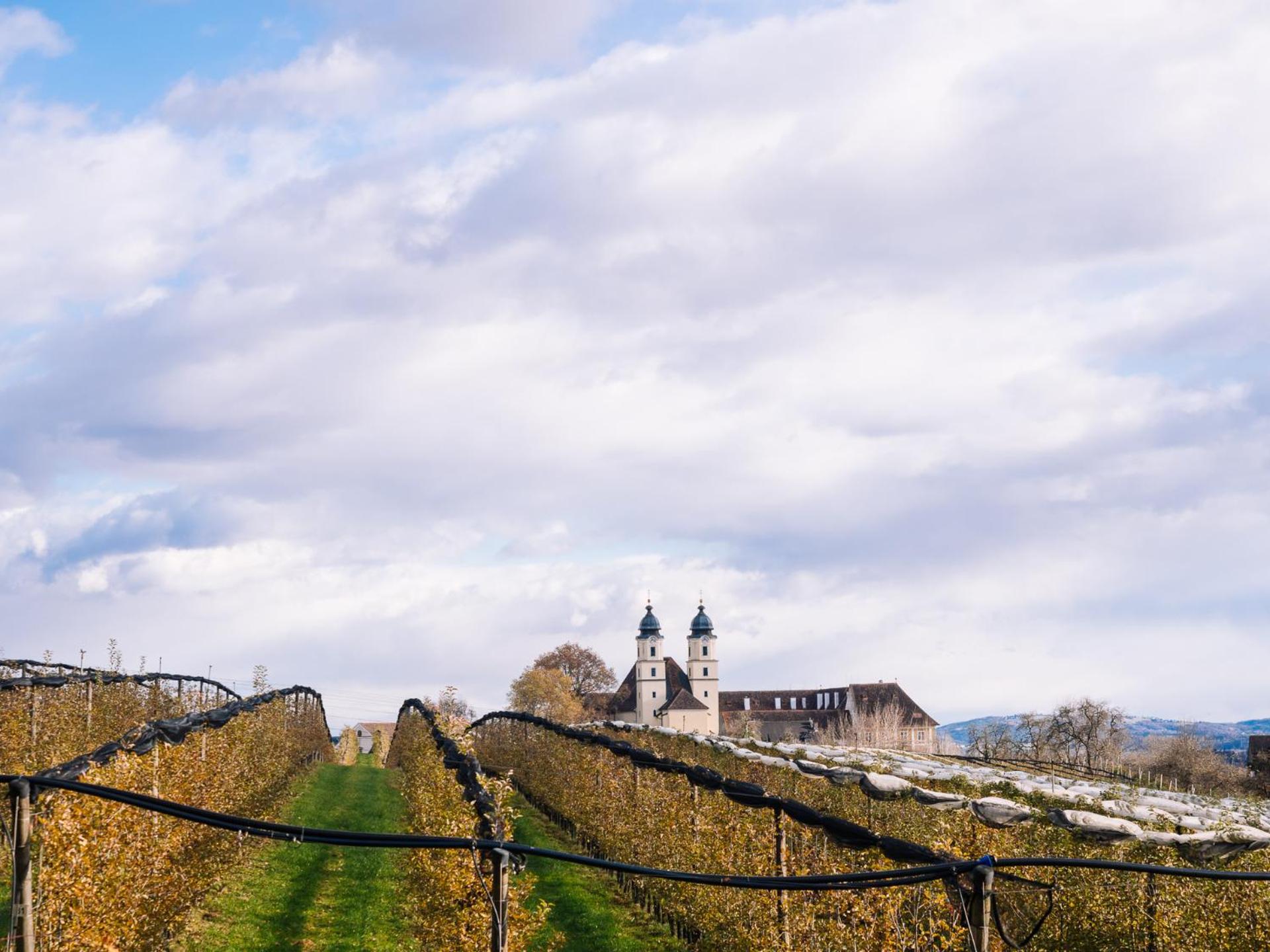 SCHILCHERLANDLEBEN - Kellerstöckl
