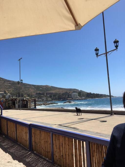 Tranquilidad entre la naturaleza y cercano al mar