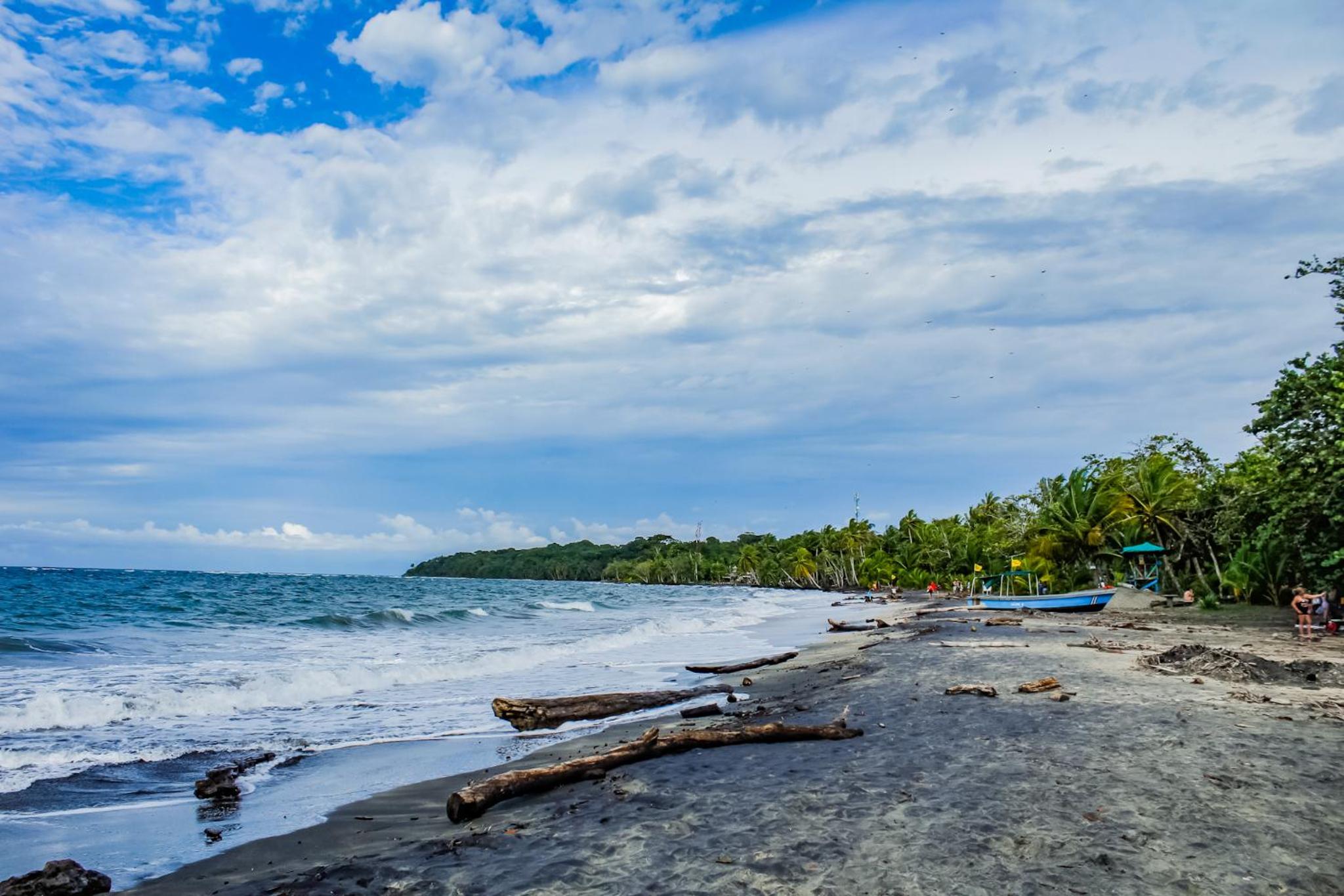 Casa Auratus Manzanillo wildlife