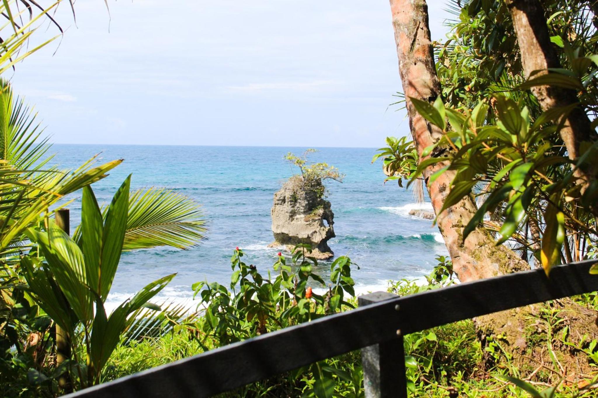 Casa Auratus Manzanillo wildlife