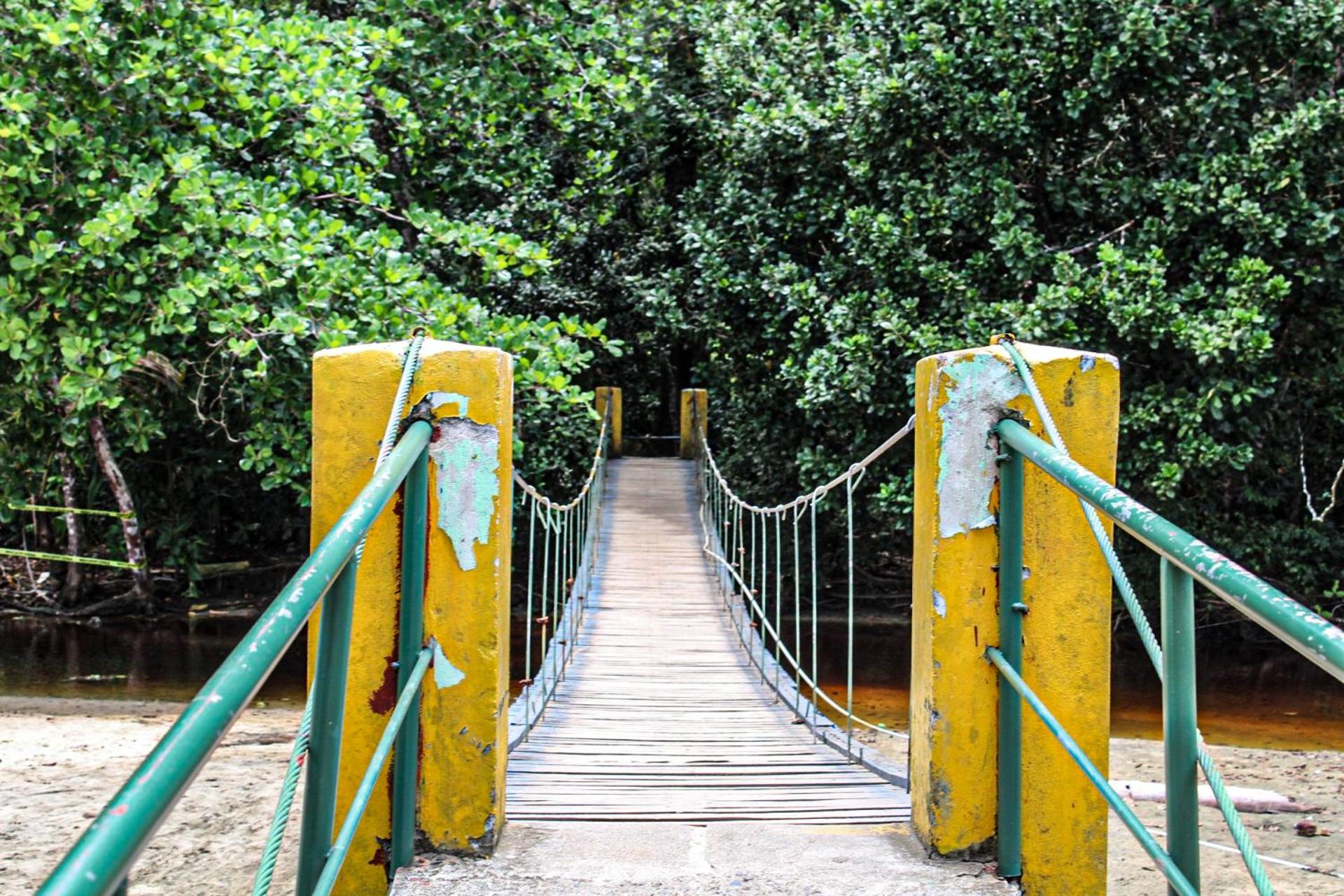 Casa Auratus Manzanillo wildlife