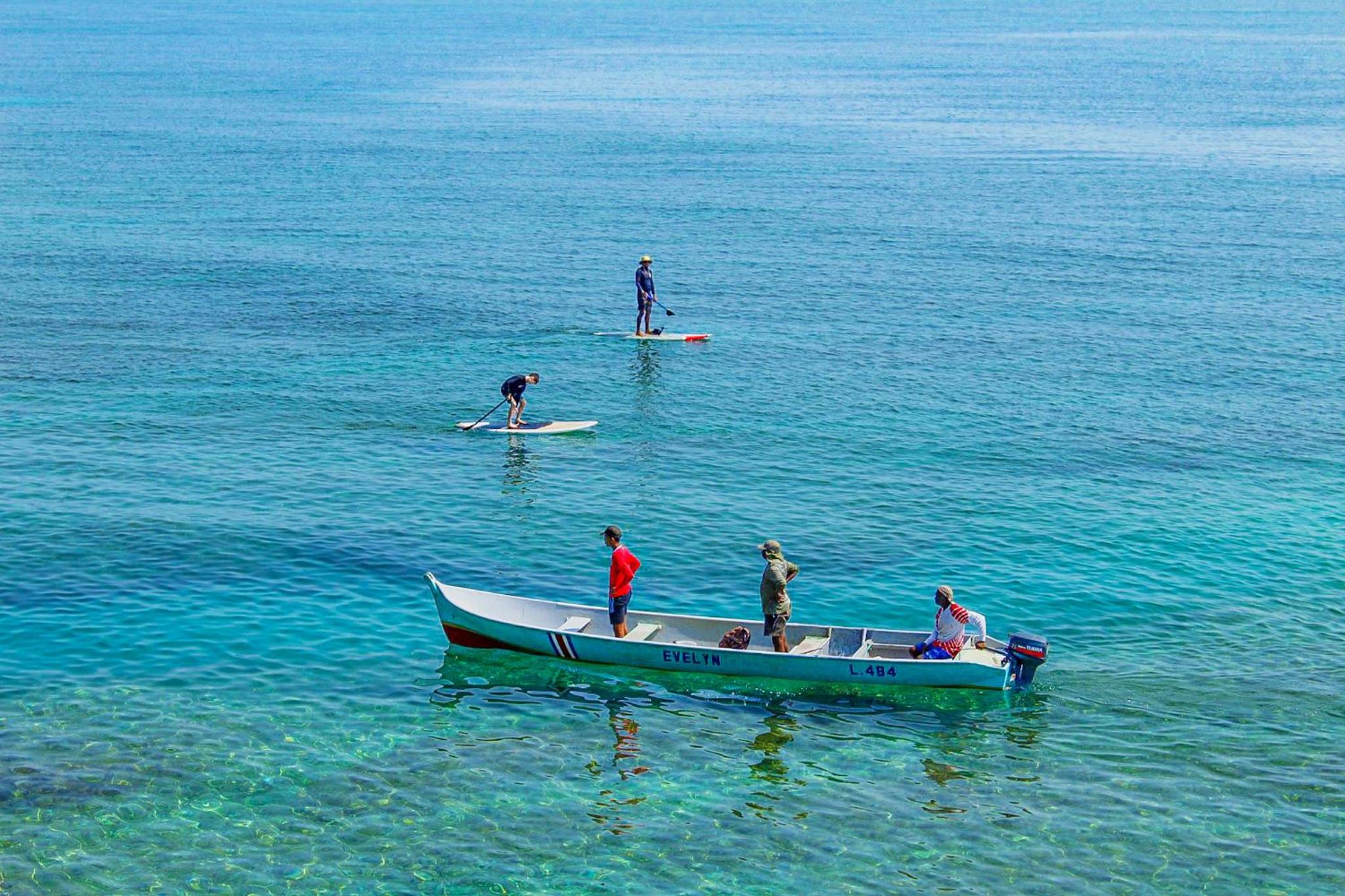 Casa Auratus Manzanillo wildlife