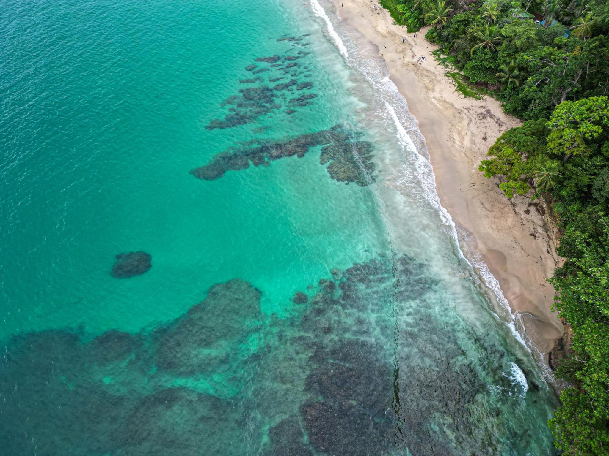 Casa Auratus Manzanillo wildlife
