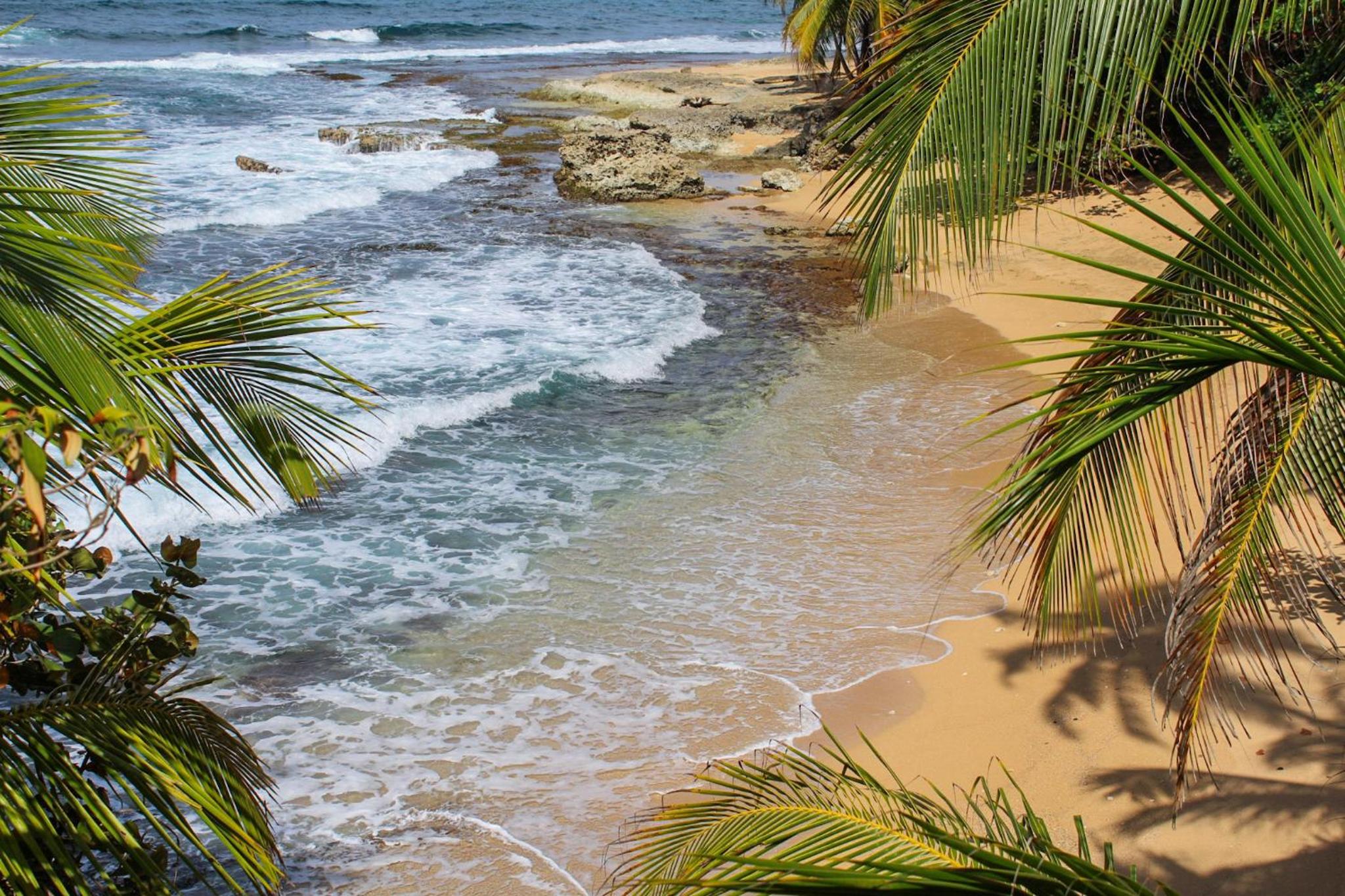 Casa Auratus Manzanillo wildlife