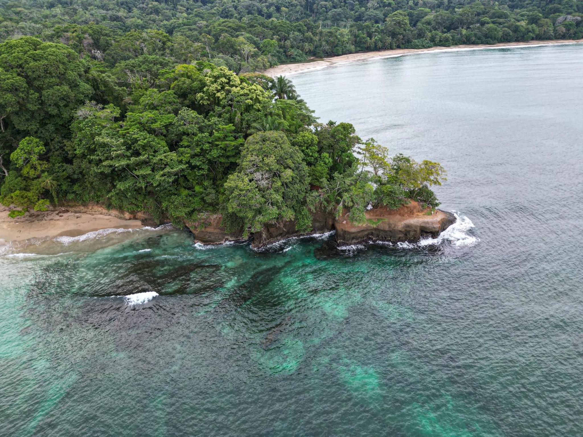 Casa Auratus Manzanillo wildlife
