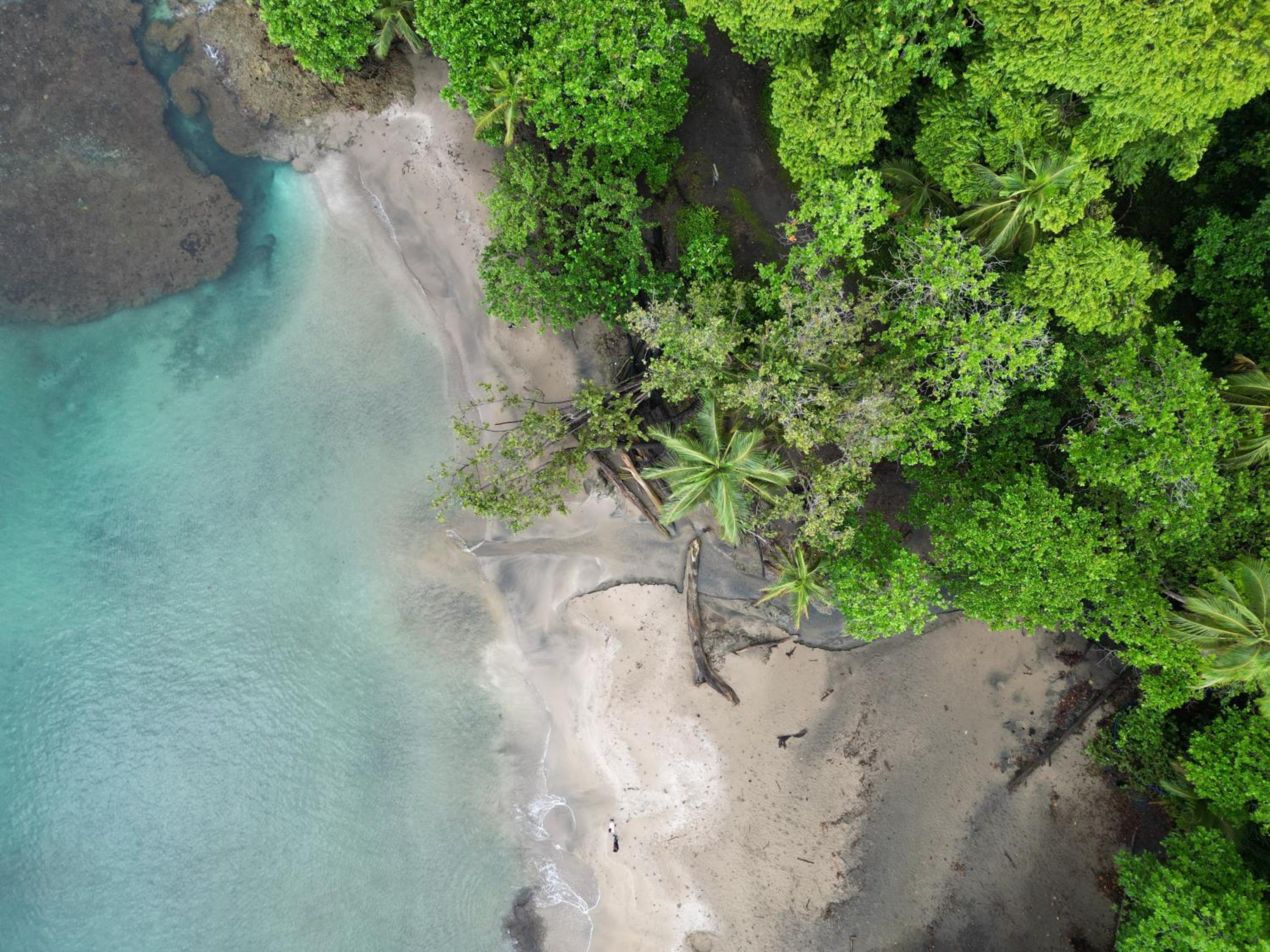 Casa Auratus Manzanillo wildlife
