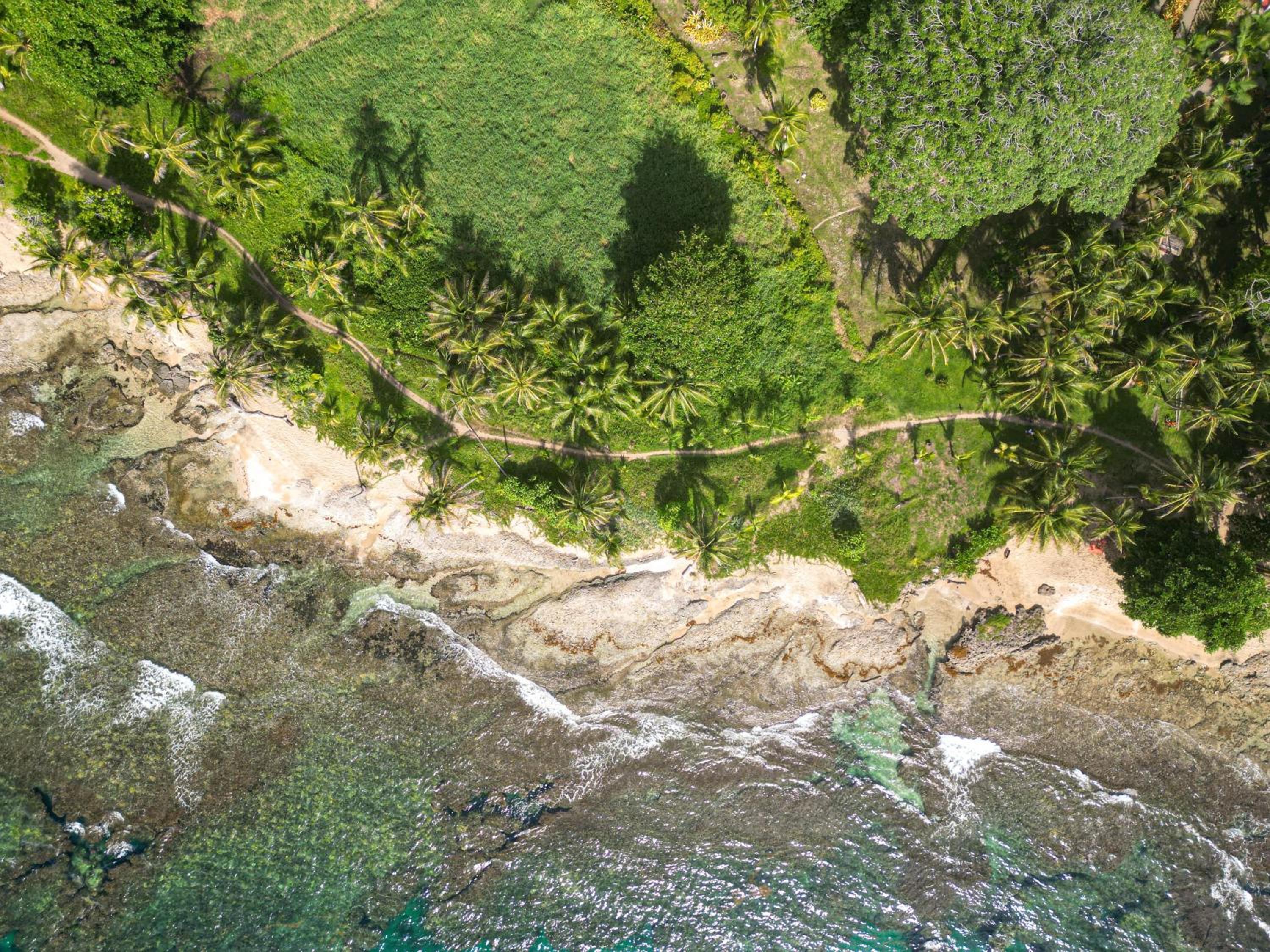 Casa Auratus Manzanillo wildlife