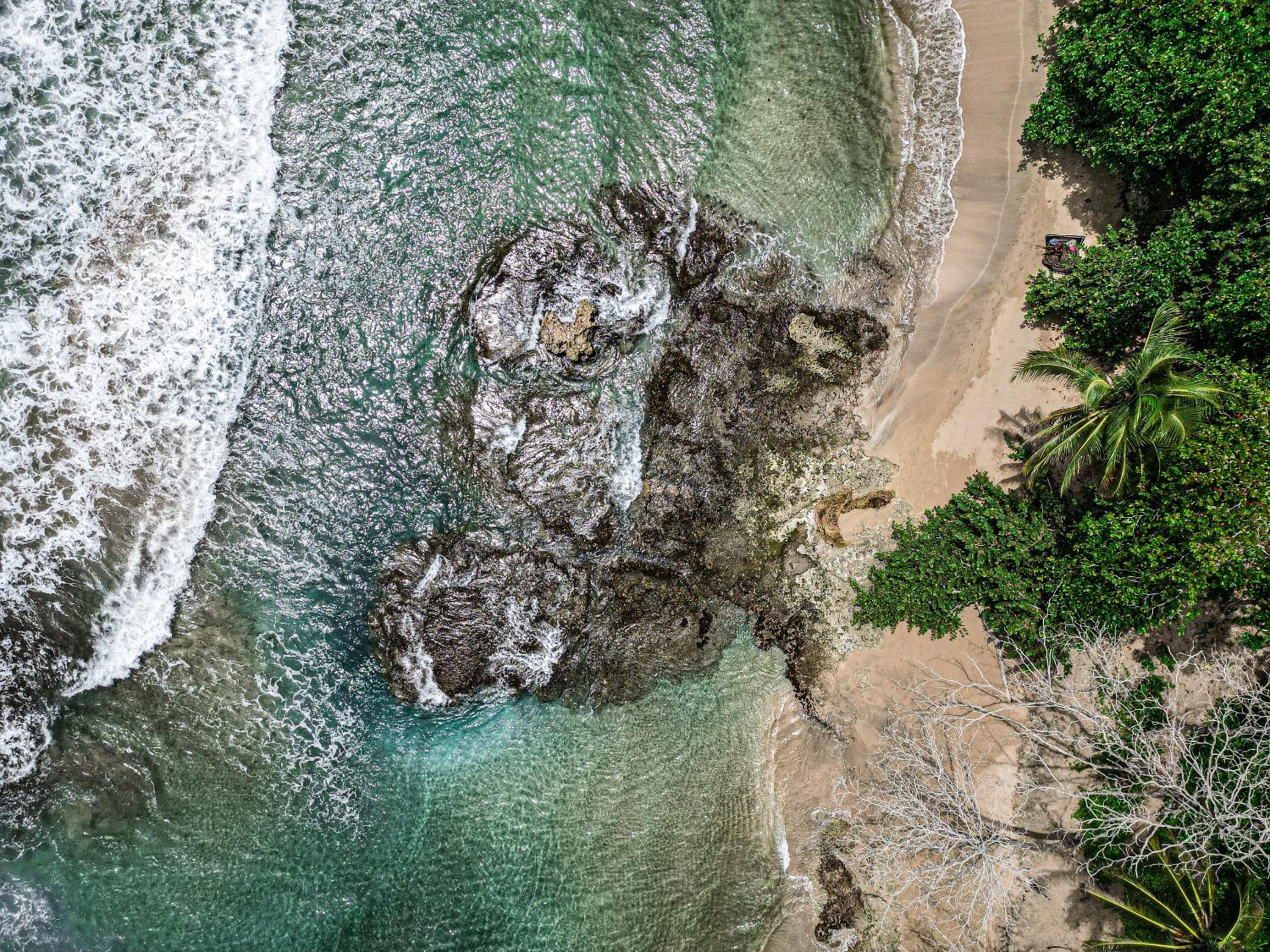Casa Auratus Manzanillo wildlife