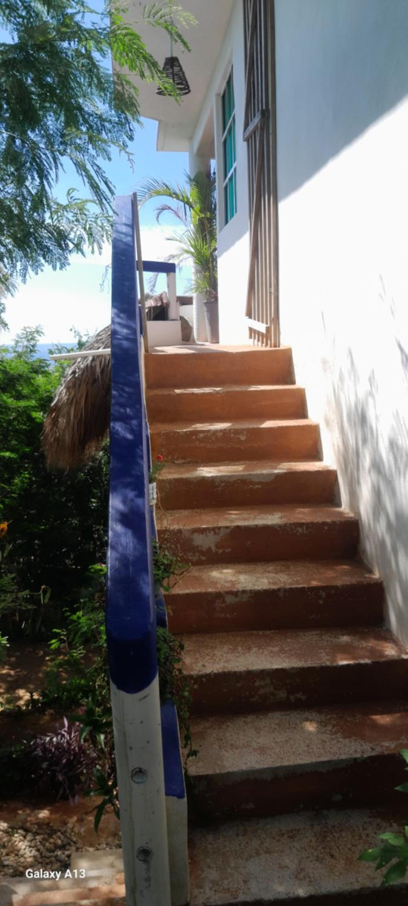 Photo 24