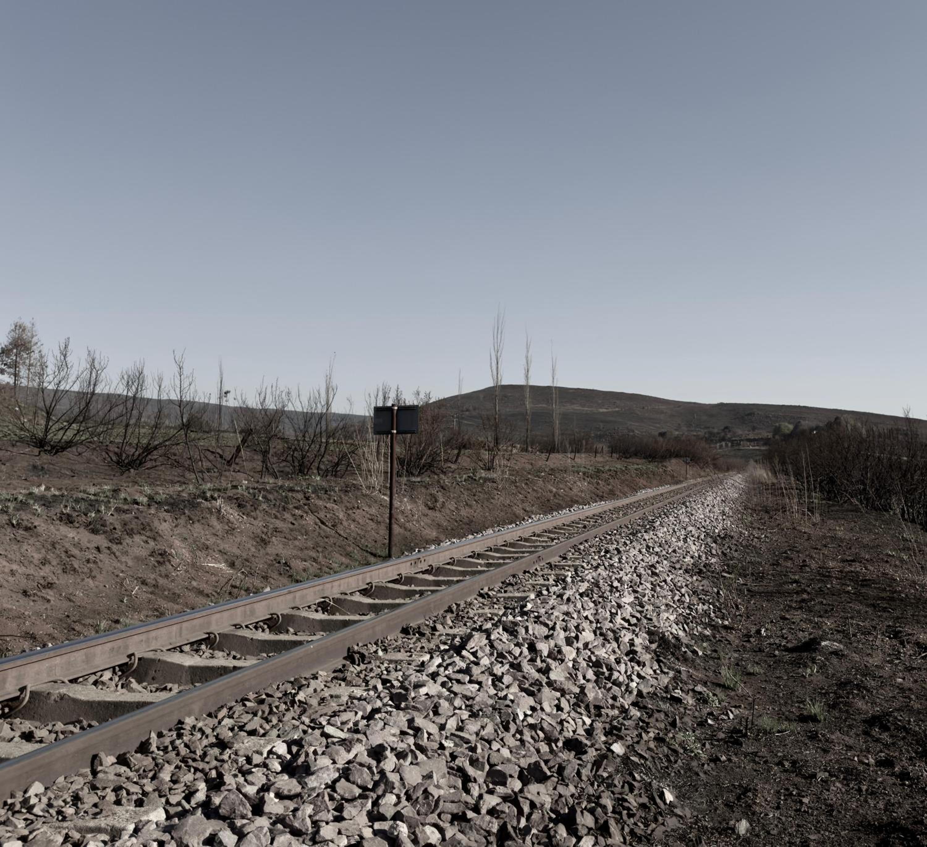Photo 48