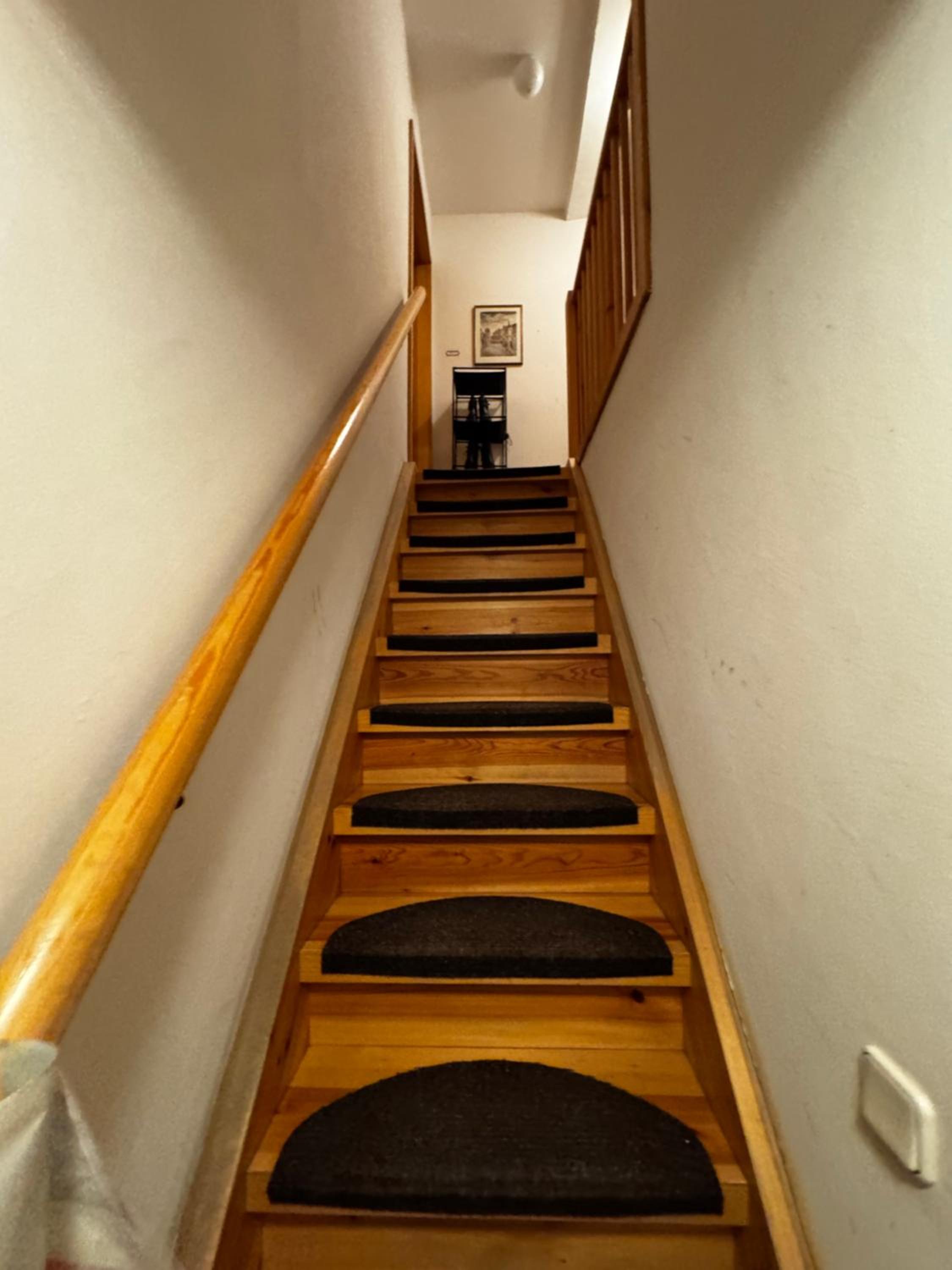 Cozy small one room Apartment