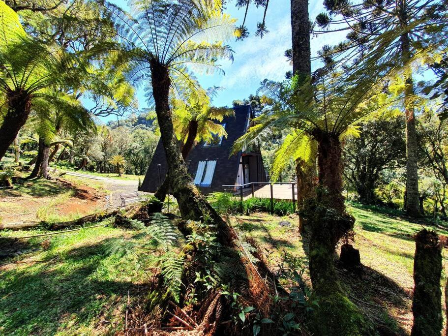 Chalé de luxo White Bird, morro da igreja URUBICI