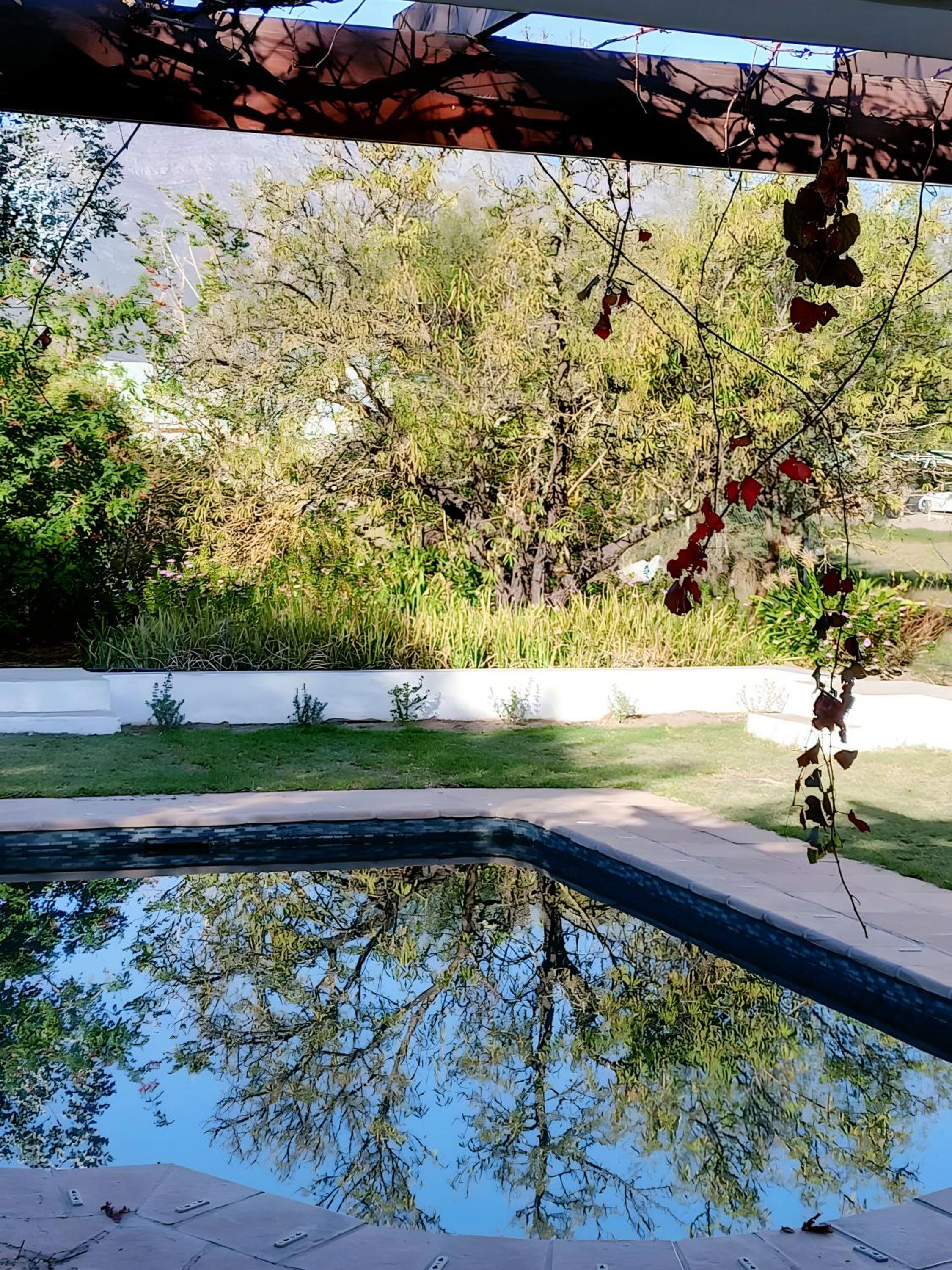 Vines 'n Views view 3