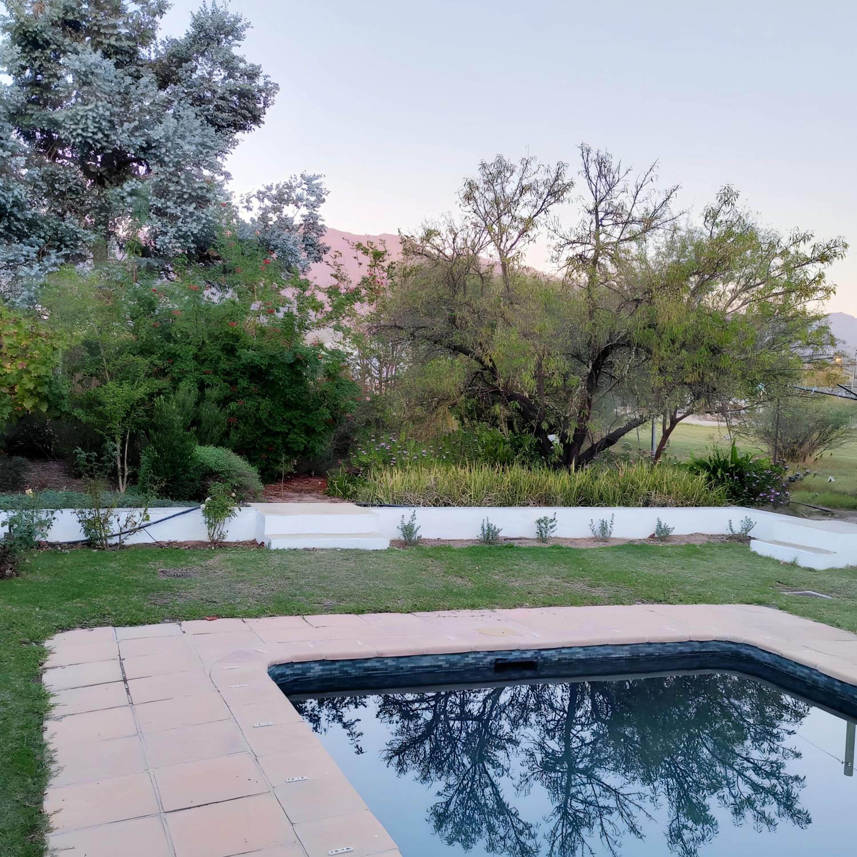 Vines 'n Views view 2
