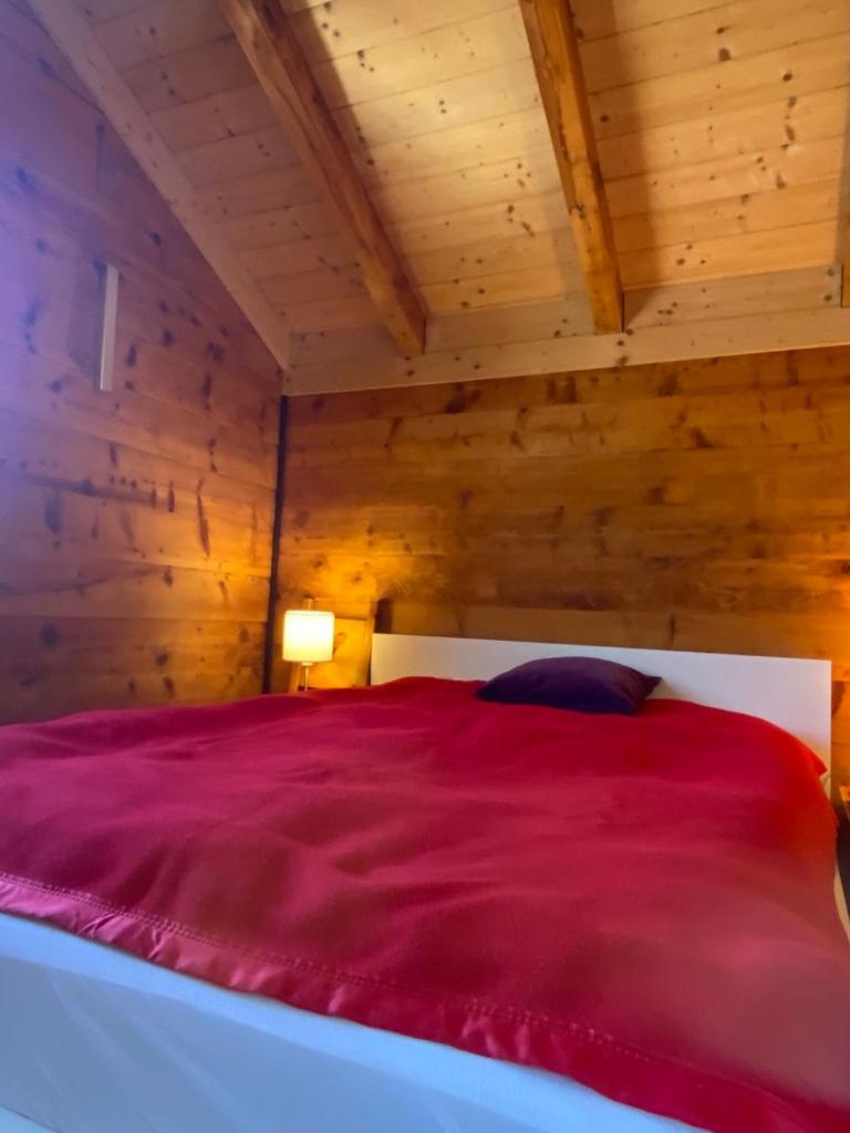 Chalet Safran