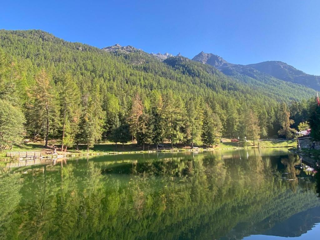 Chalet Safran