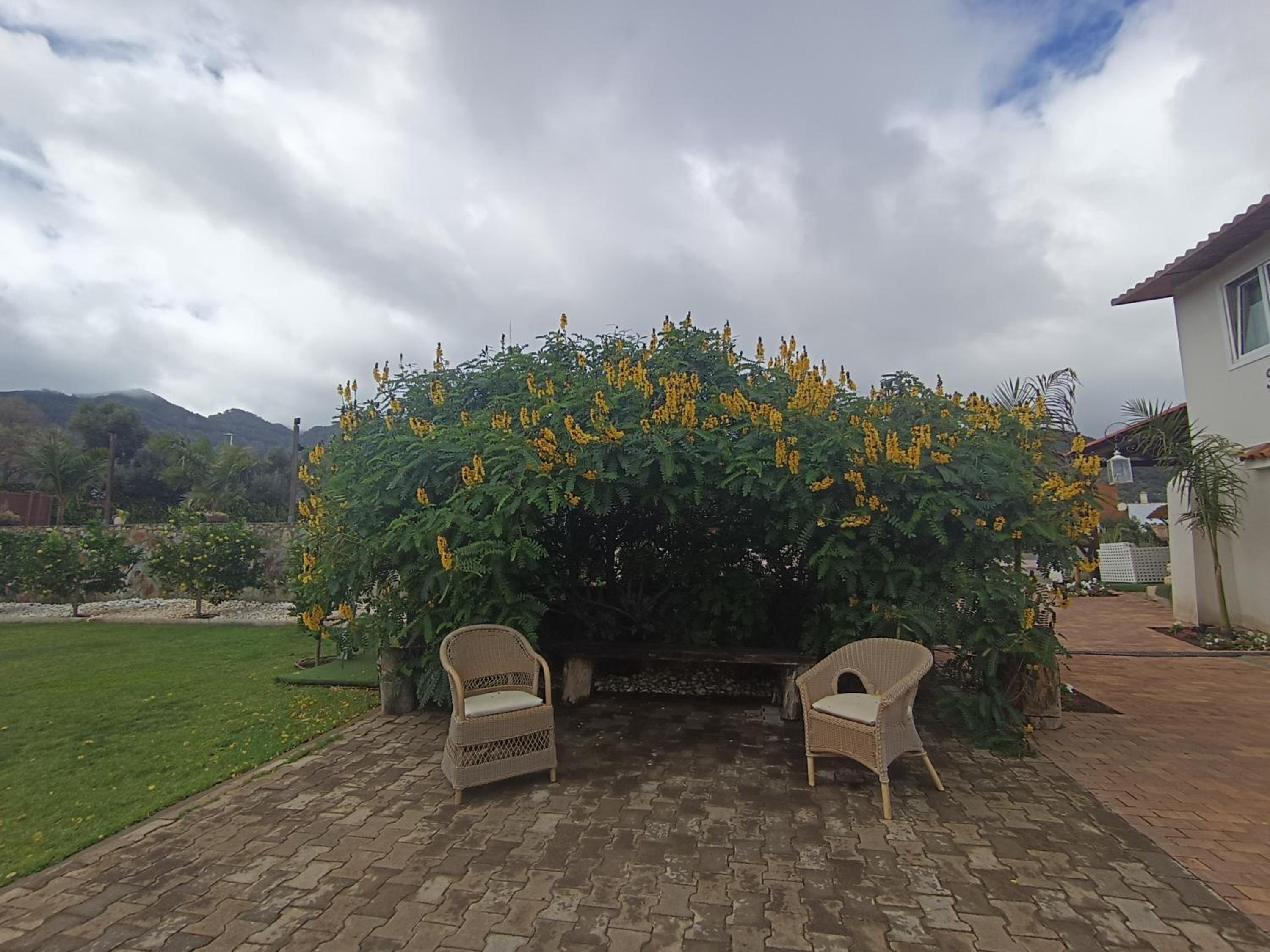 Hacienda de los Sueños