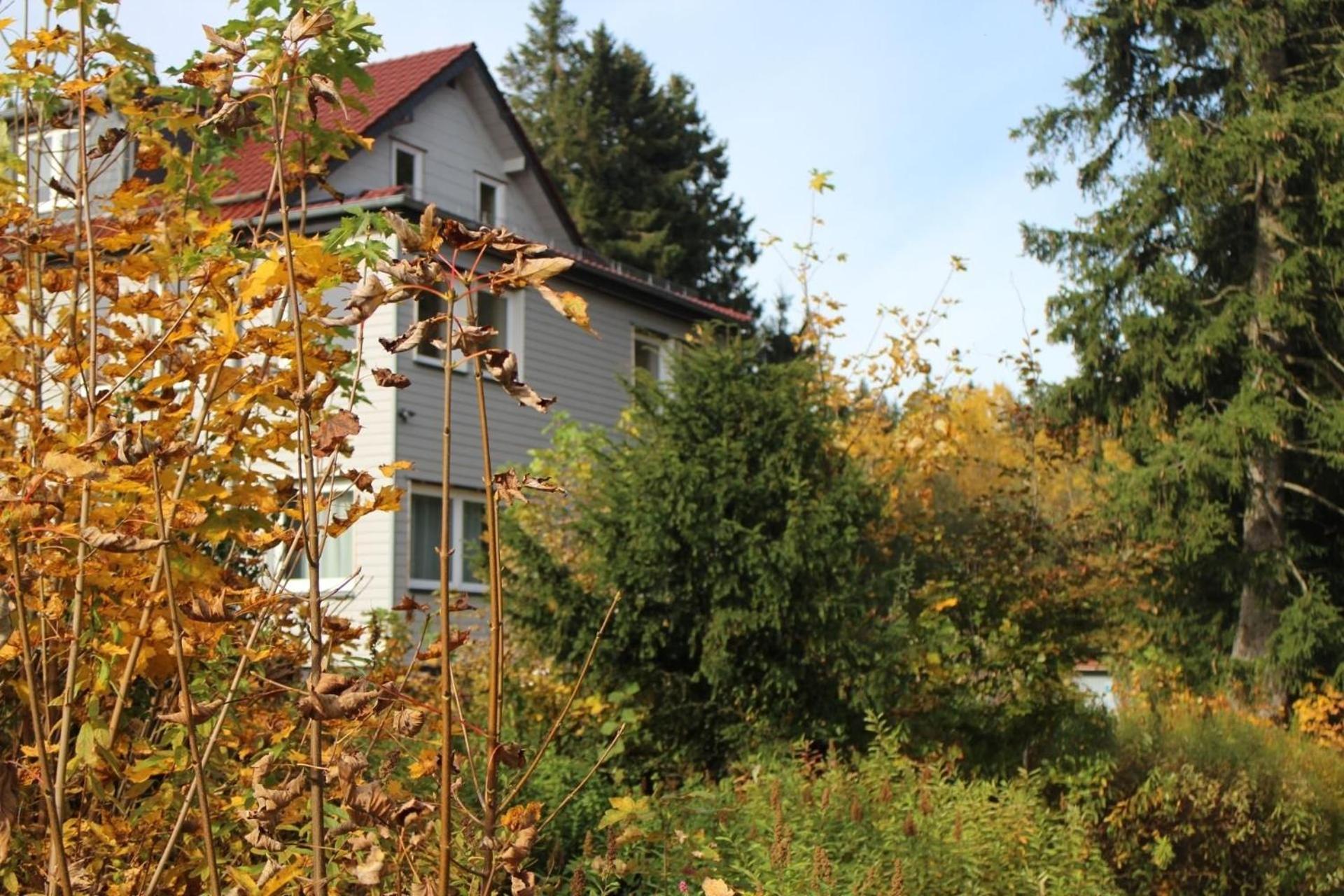 Apartment Pusteblume