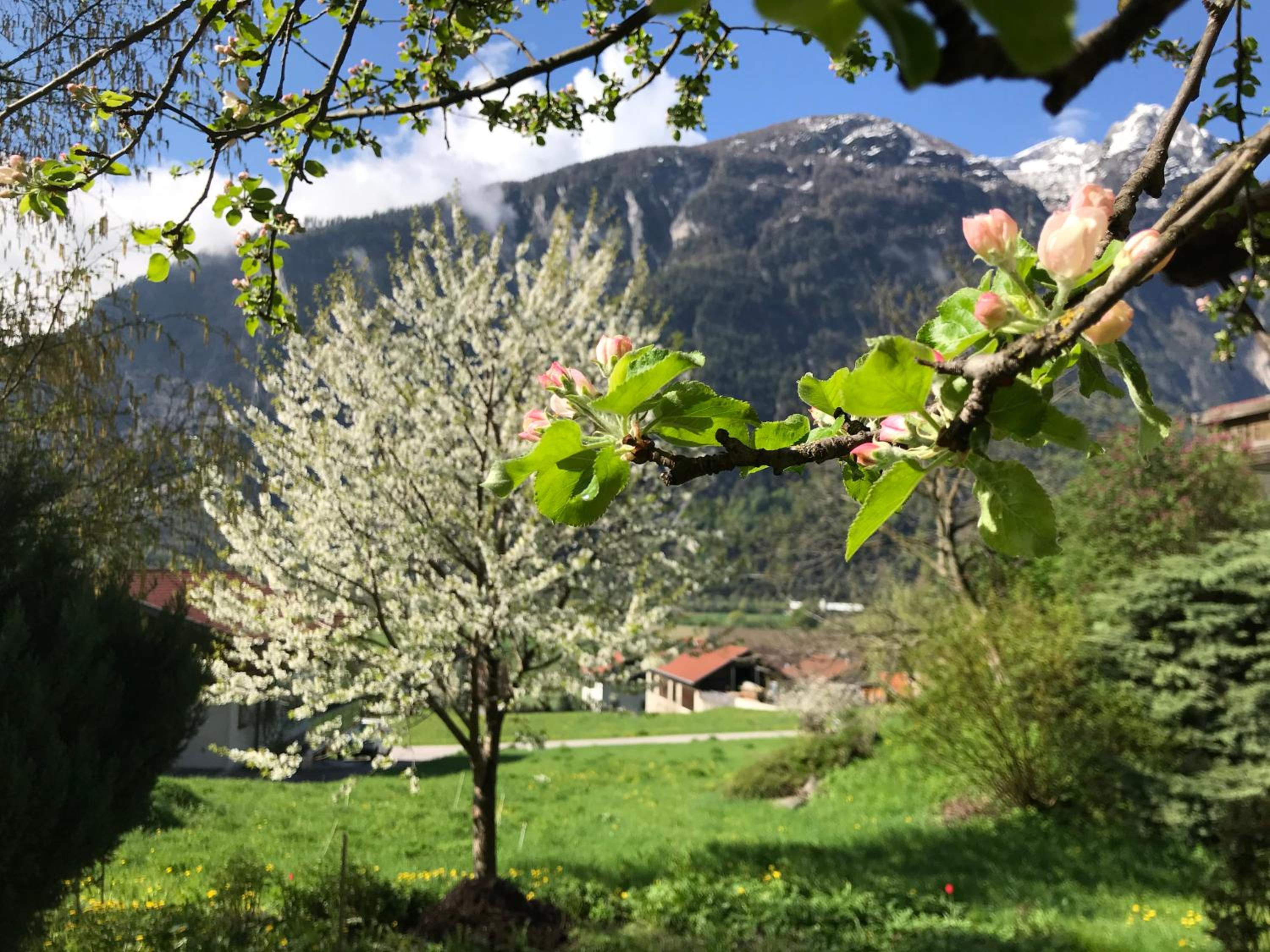 Gästehaus Steinerhof