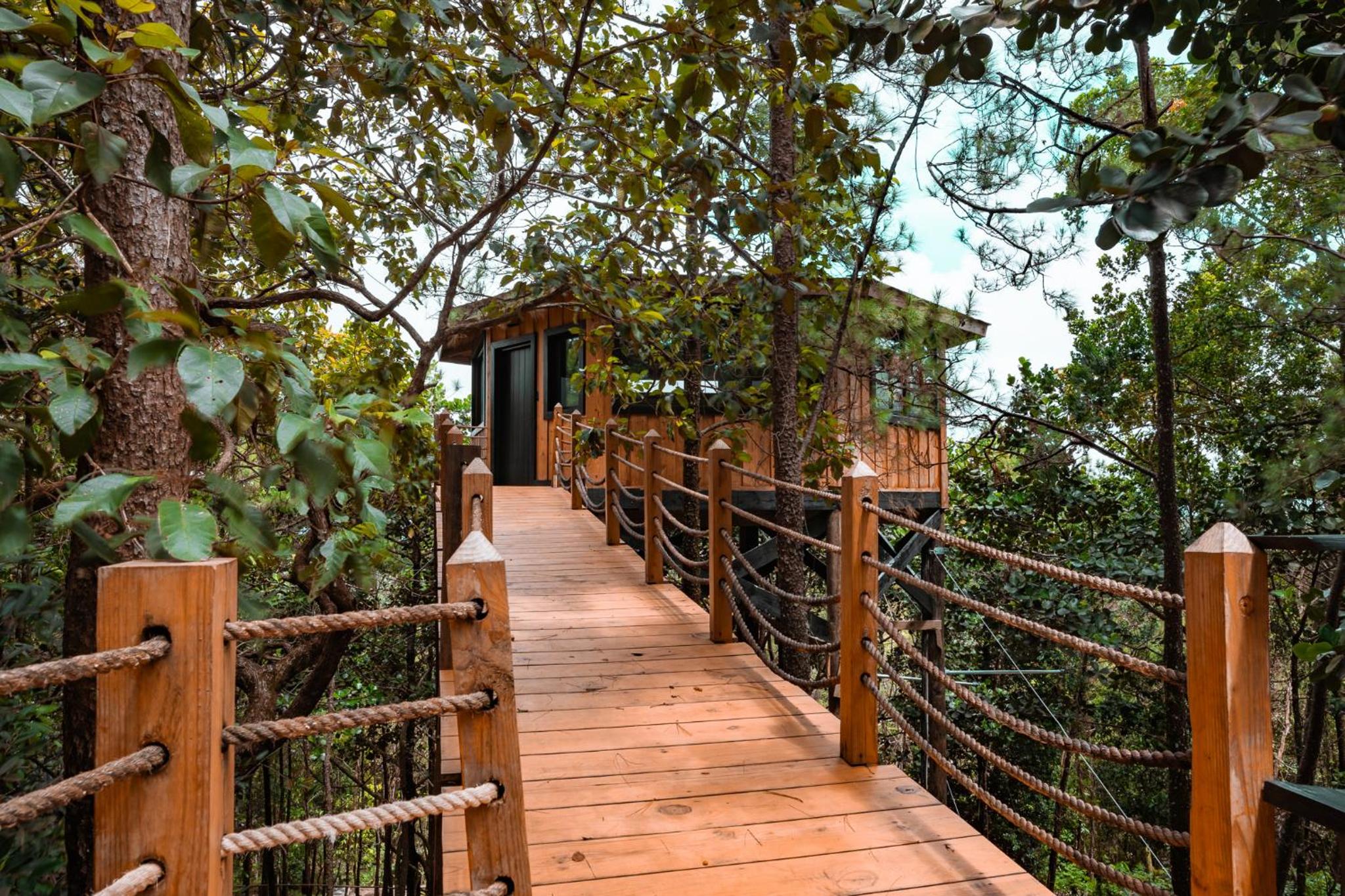 The Grand Forest Jarabacoa