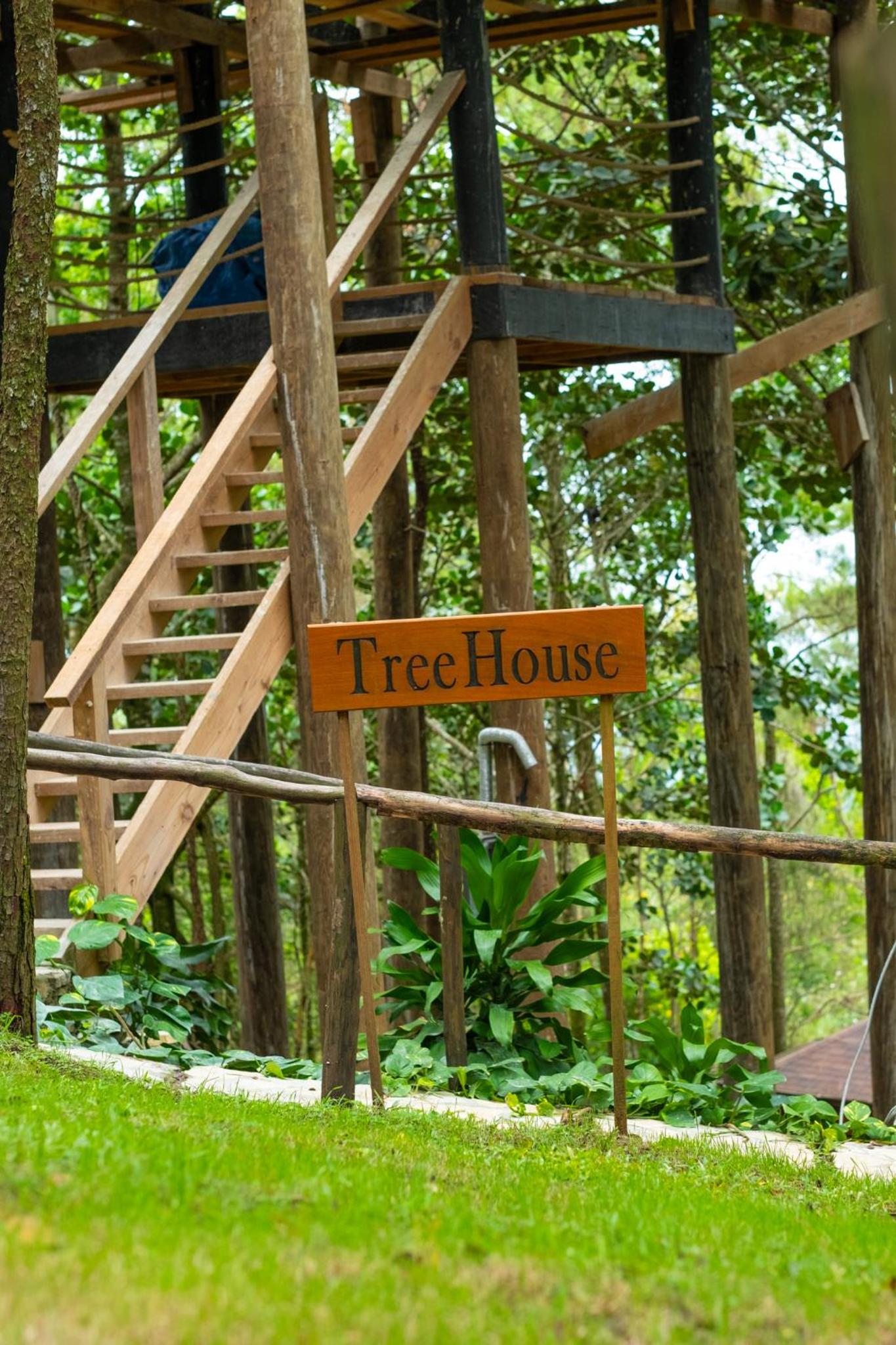The Grand Forest Jarabacoa