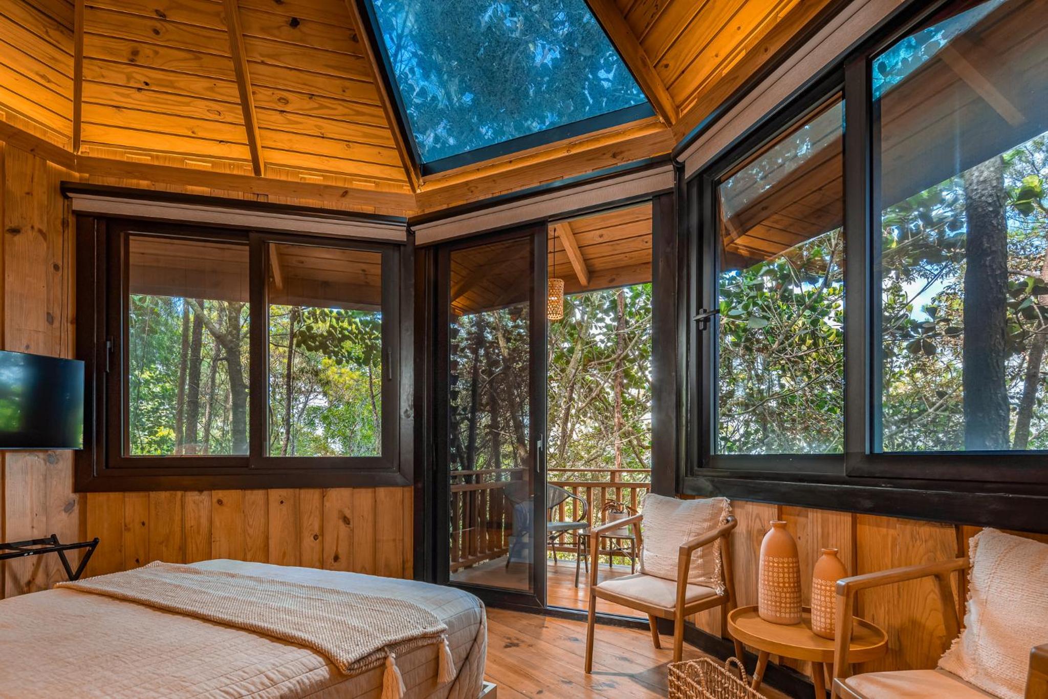 The Grand Forest Jarabacoa