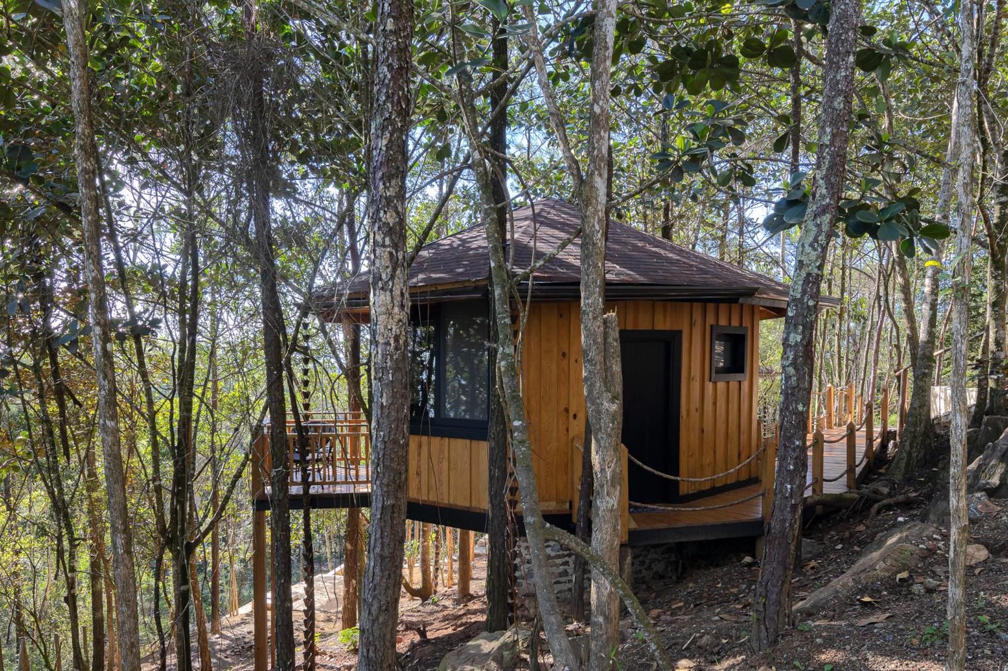 The Grand Forest Jarabacoa