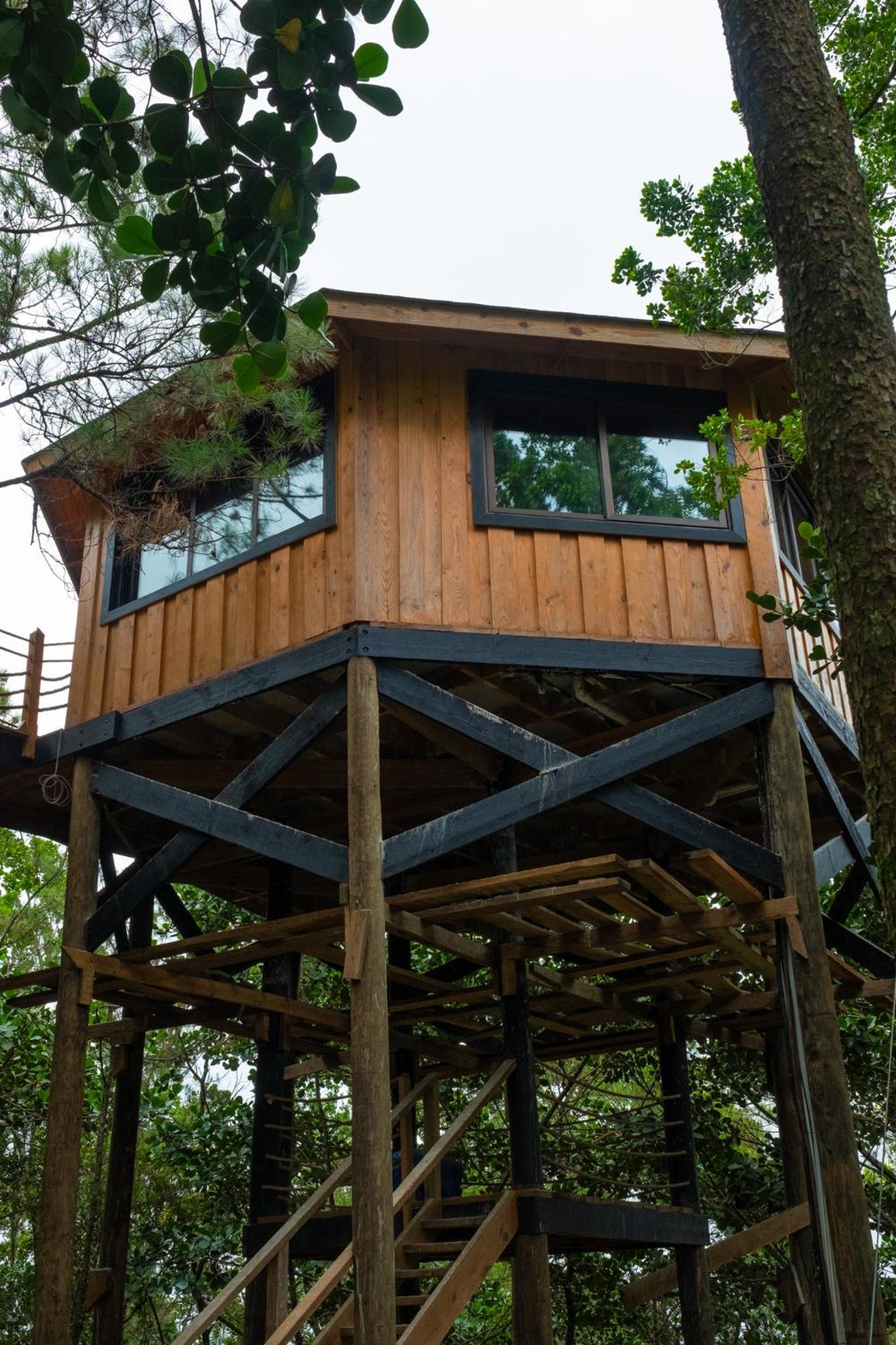 The Grand Forest Jarabacoa