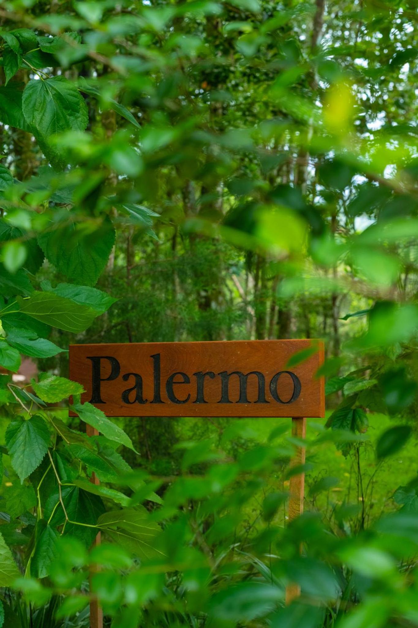 The Grand Forest Jarabacoa