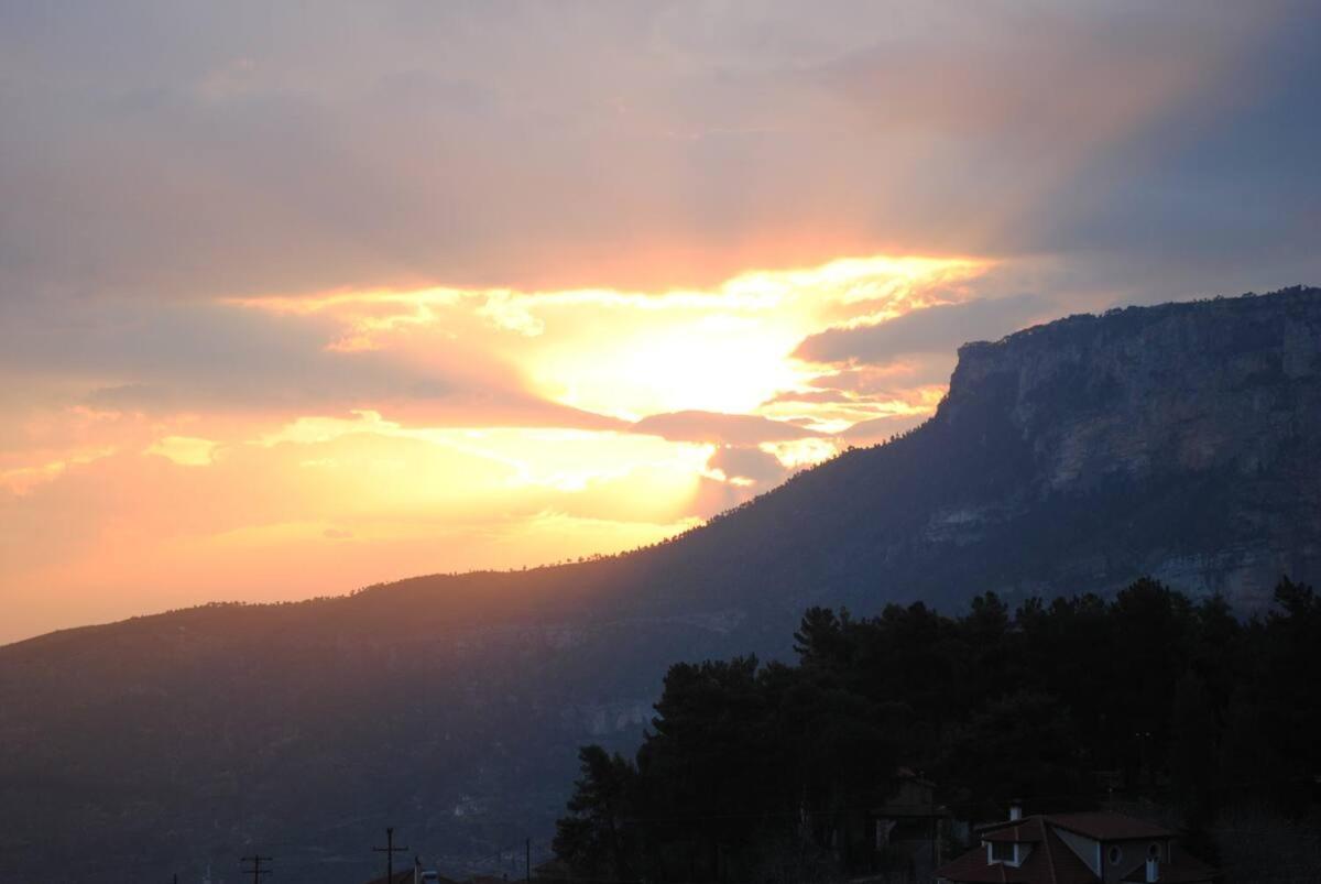Anta's bnb view 3
