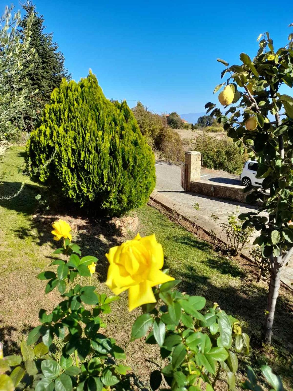Photo 48