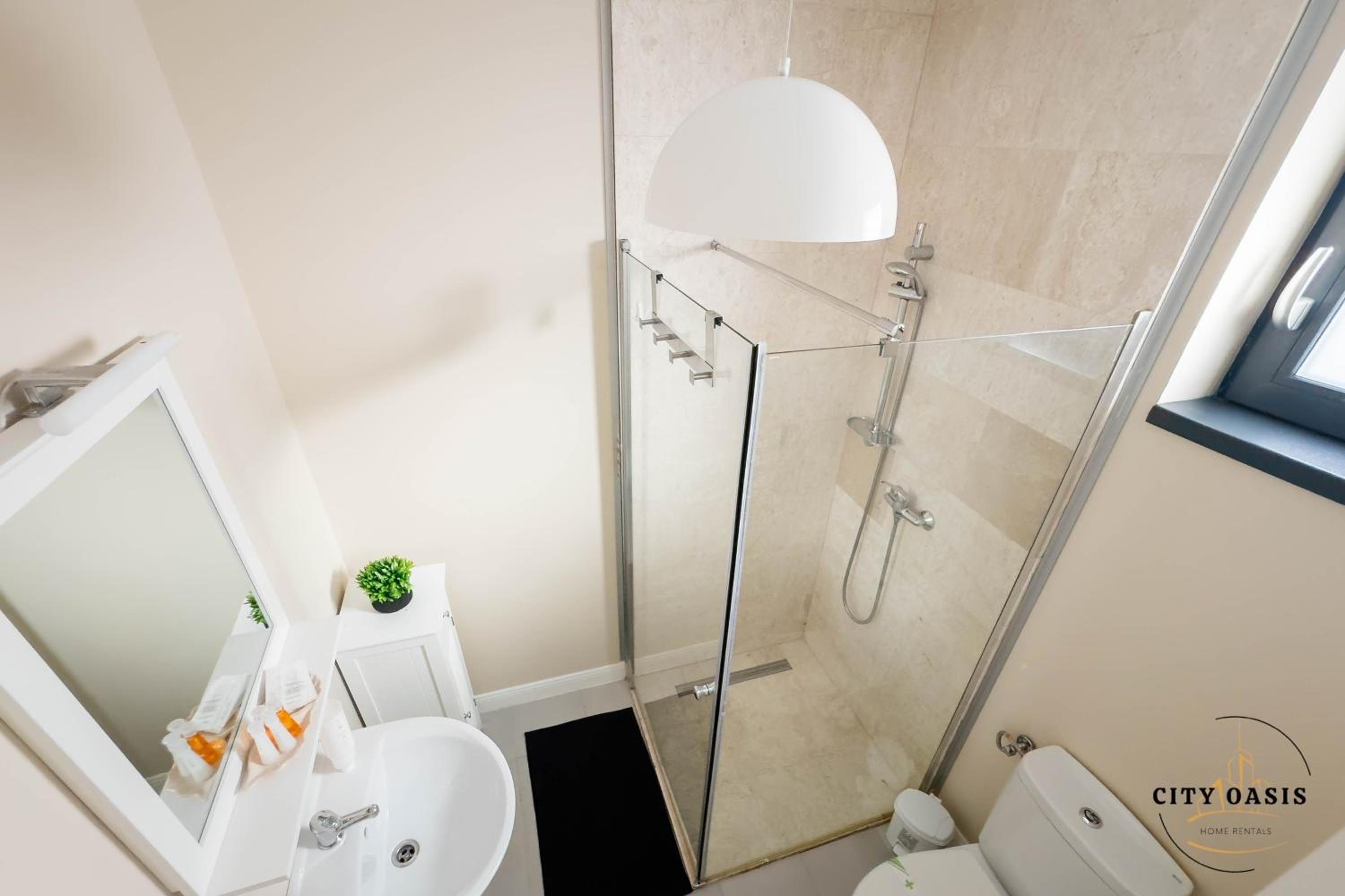 City Oasis Villa in Sibiu