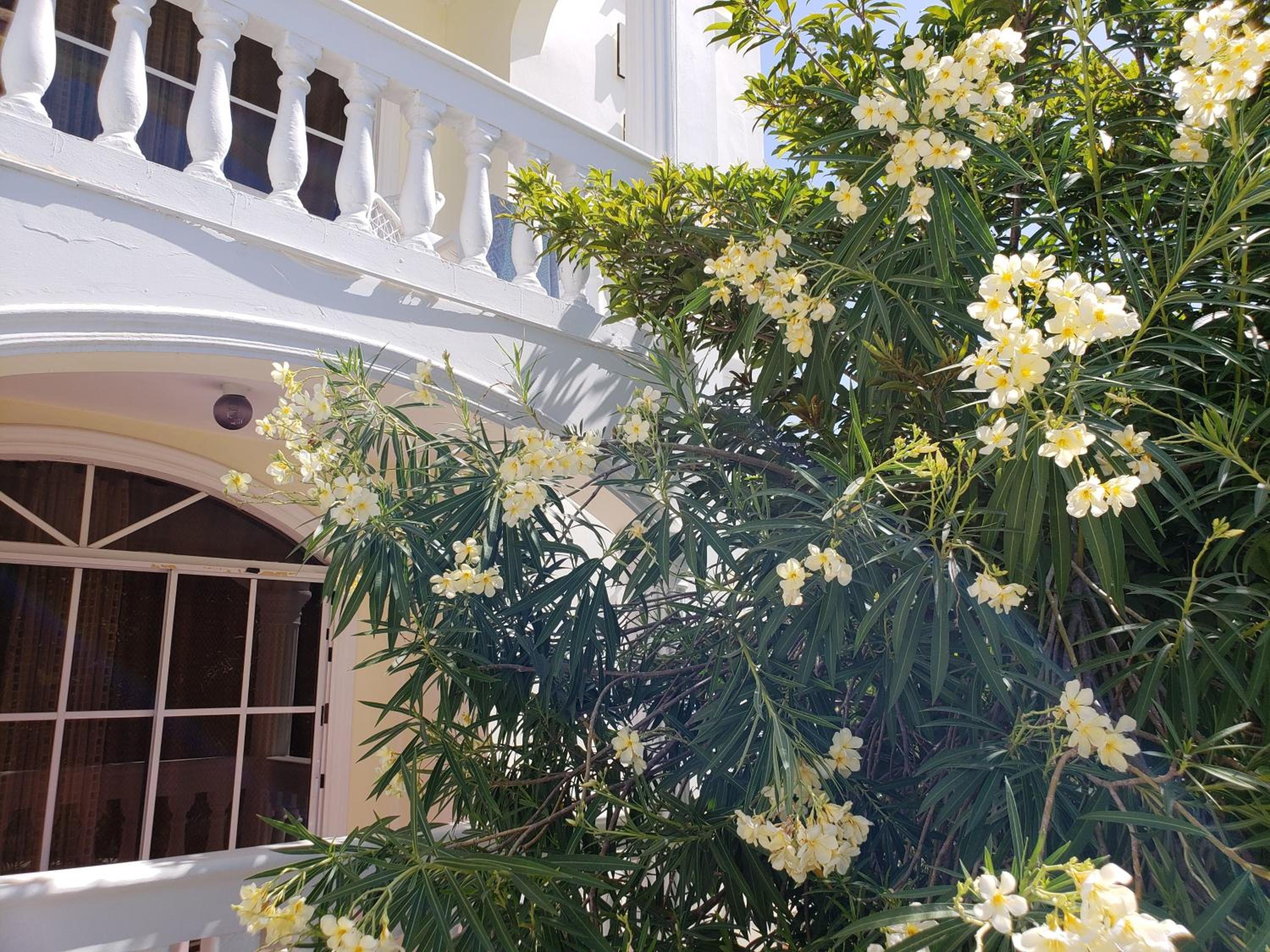 Costambar Ocean Breeze - Beachfront Apartment with Pool