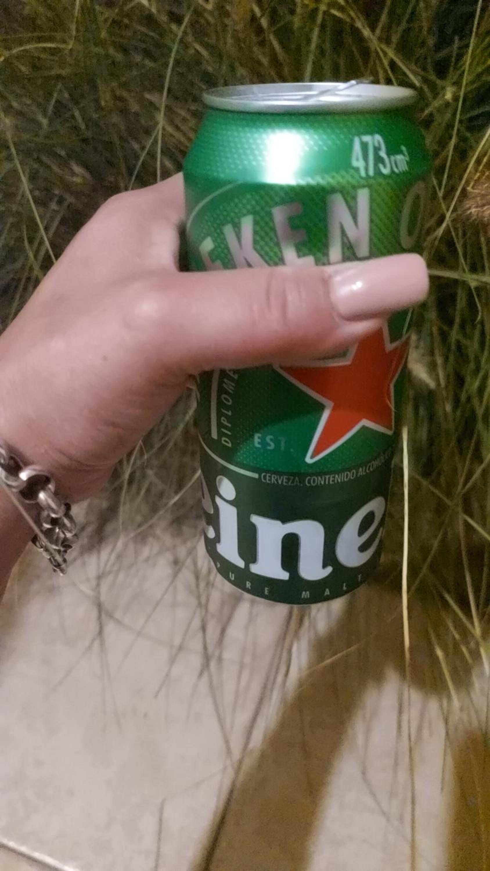 Complejo P&P