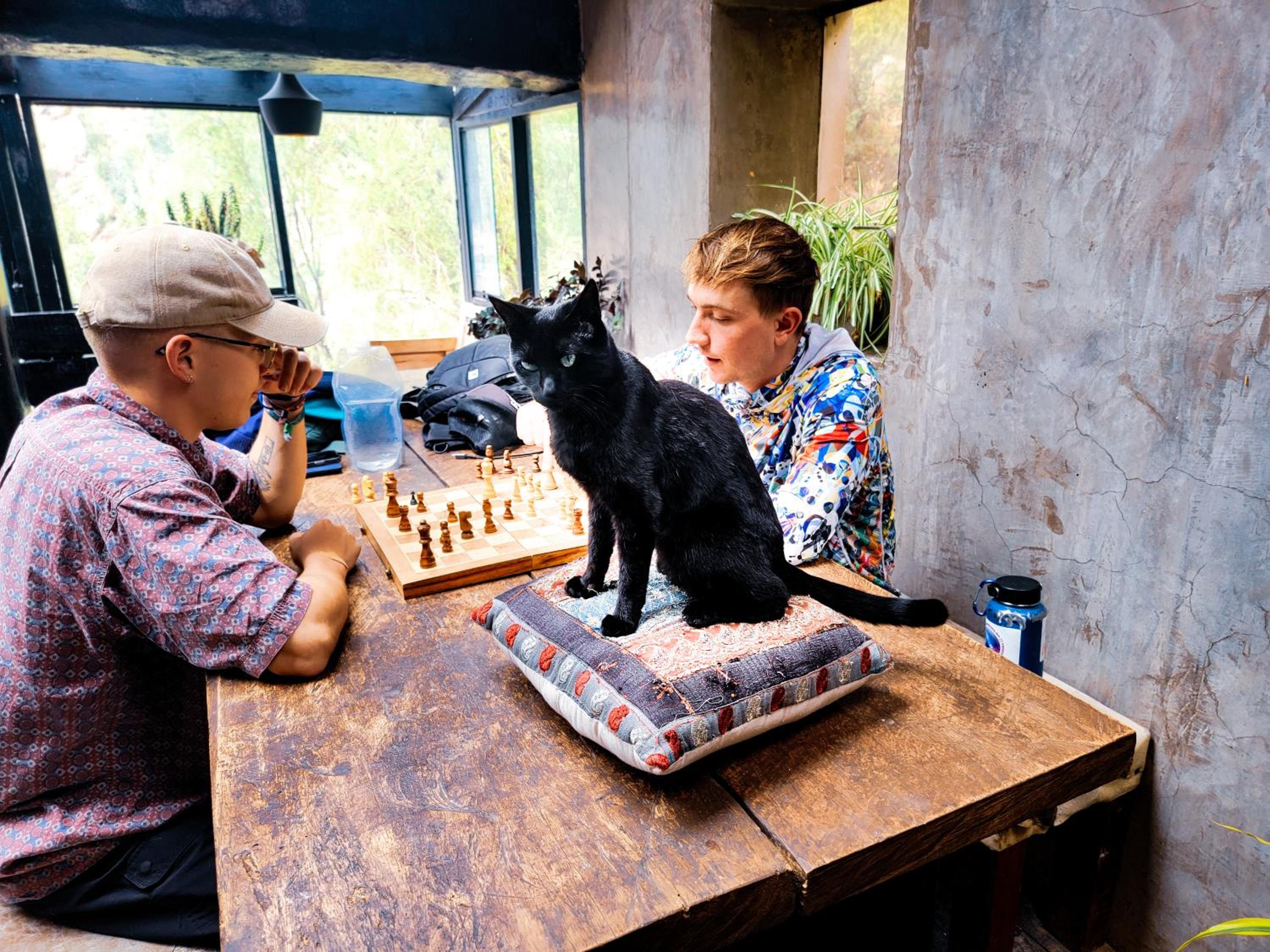 Wolf Totem Lux Backpacker Industrial Studio view 3