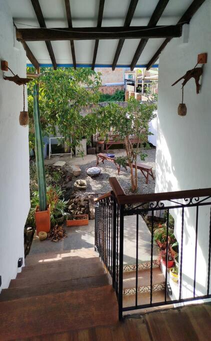 Patio Chic House