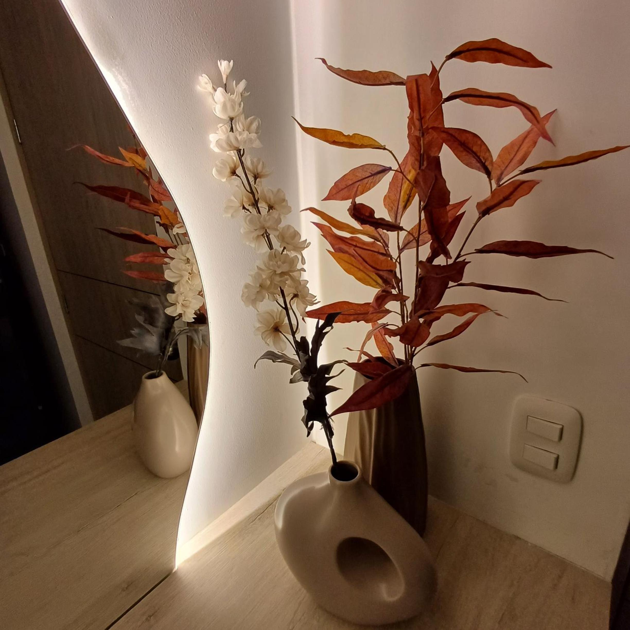 Cielo Quindiano Suites 4