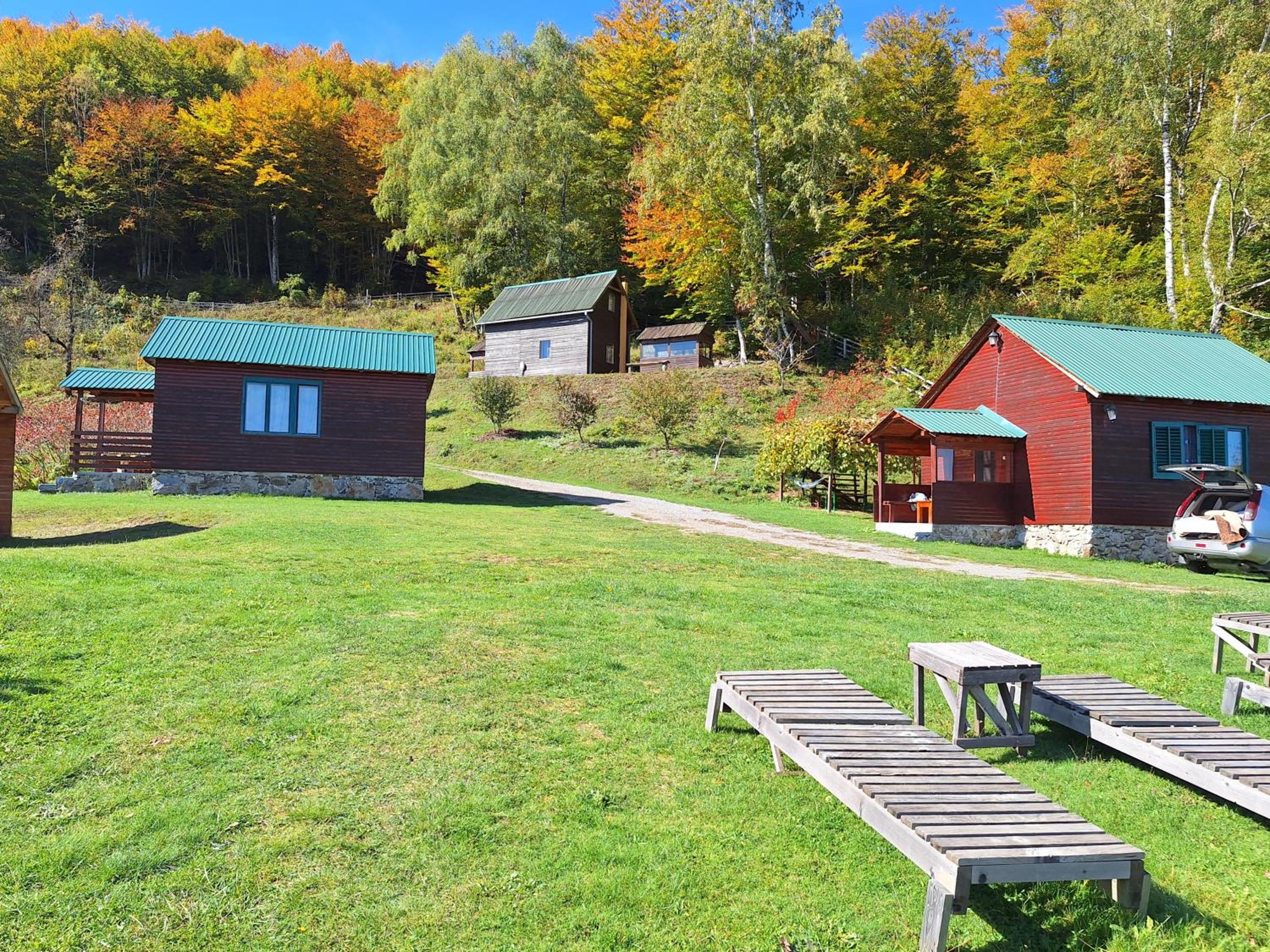 Photo 46
