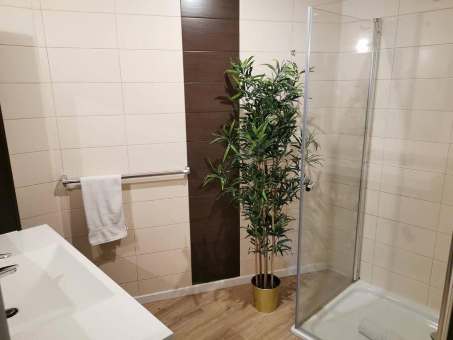 Large 2 bedrooms Flat with FREE Parking & Terrace