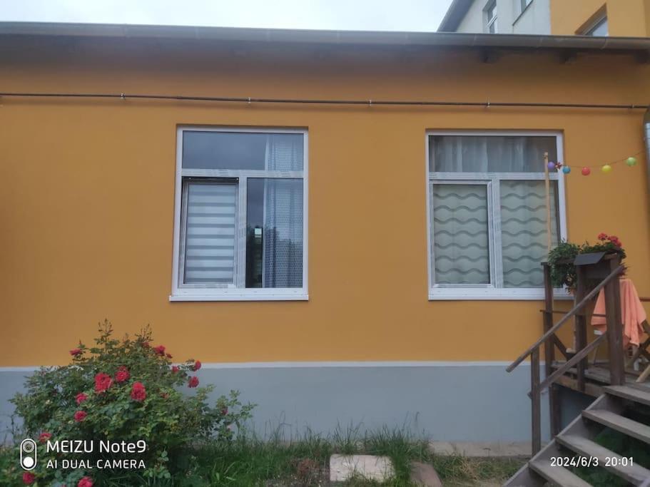 Appartement mit Garten in Zentrum Schwerin