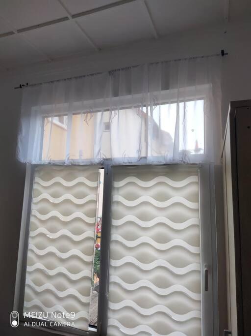 Appartement mit Garten in Zentrum Schwerin